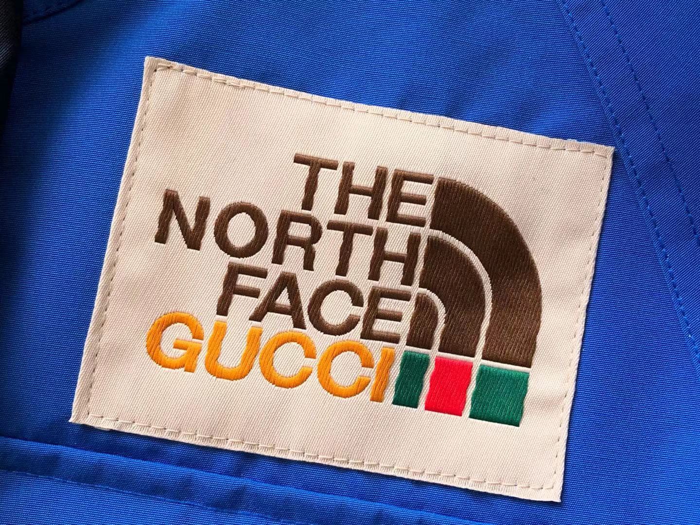 Gucci x The North Face Jacket