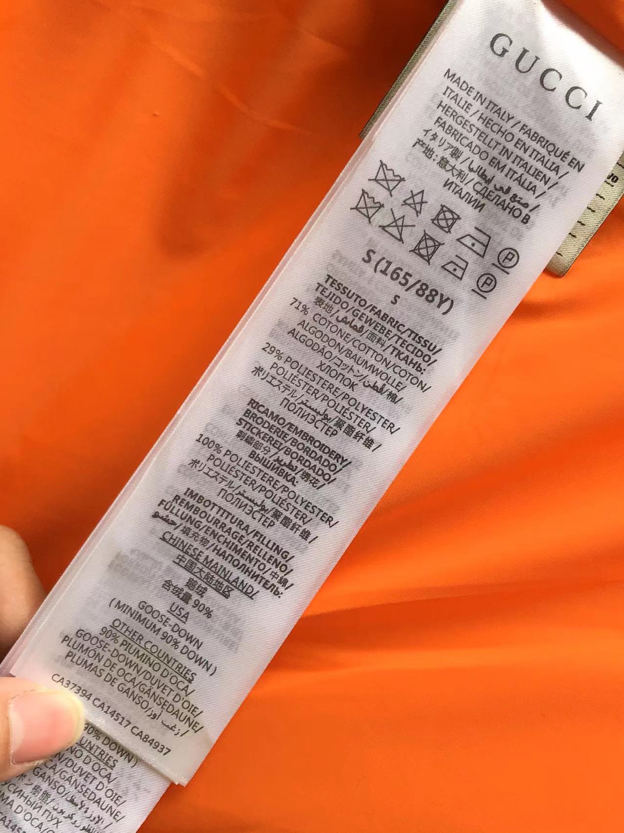 Gucci x The North Face Jacket