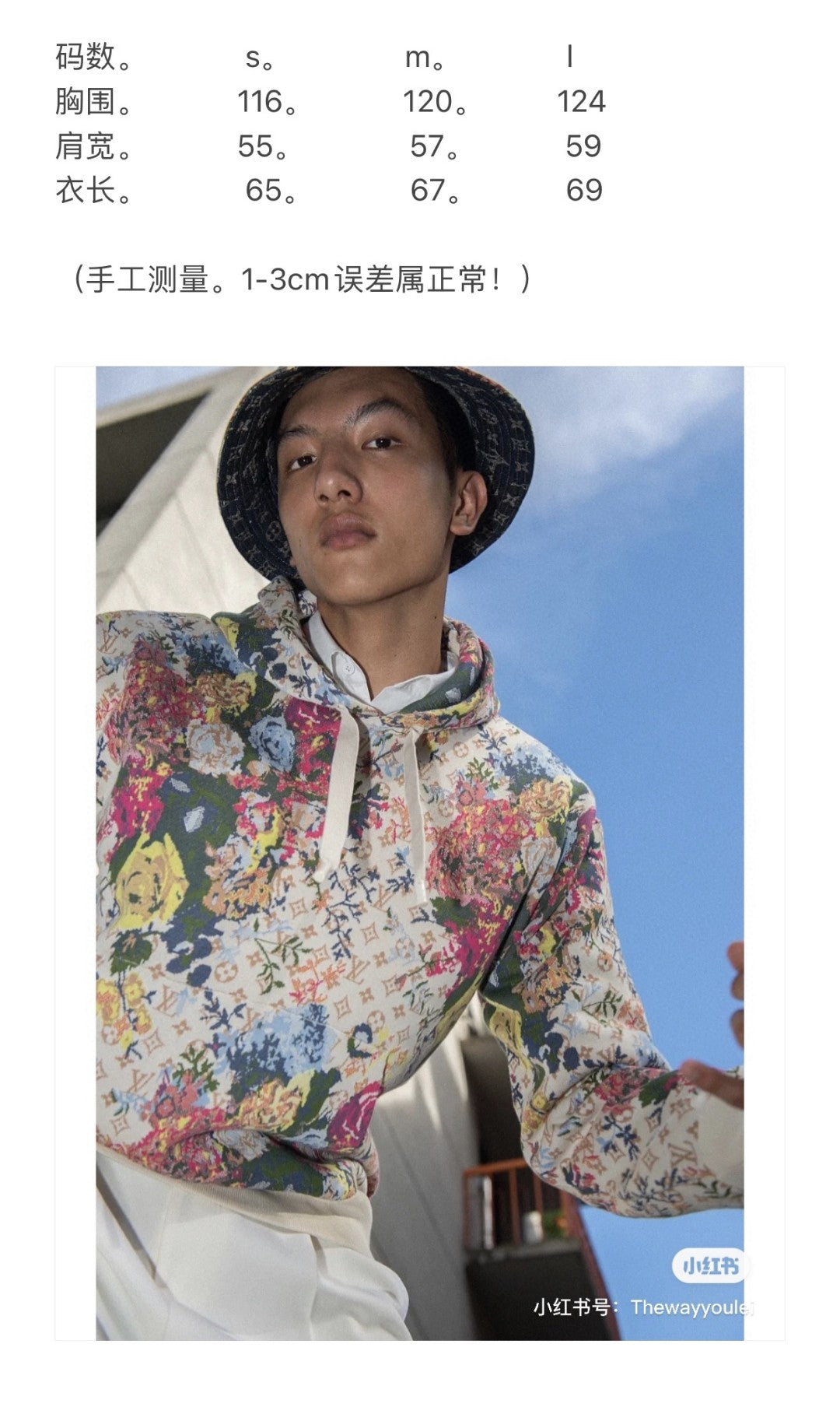 Louis Vuitton Hoodie