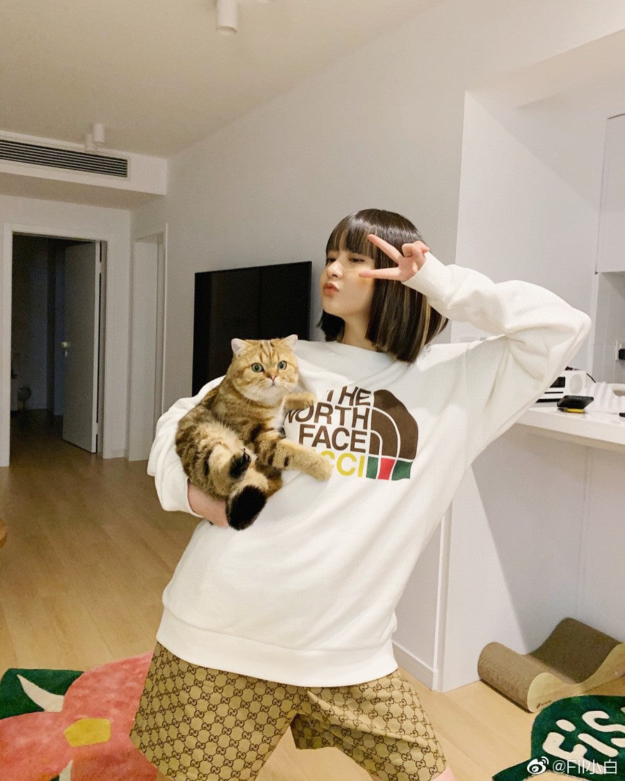 Gucci x The North Face Sweatshirt