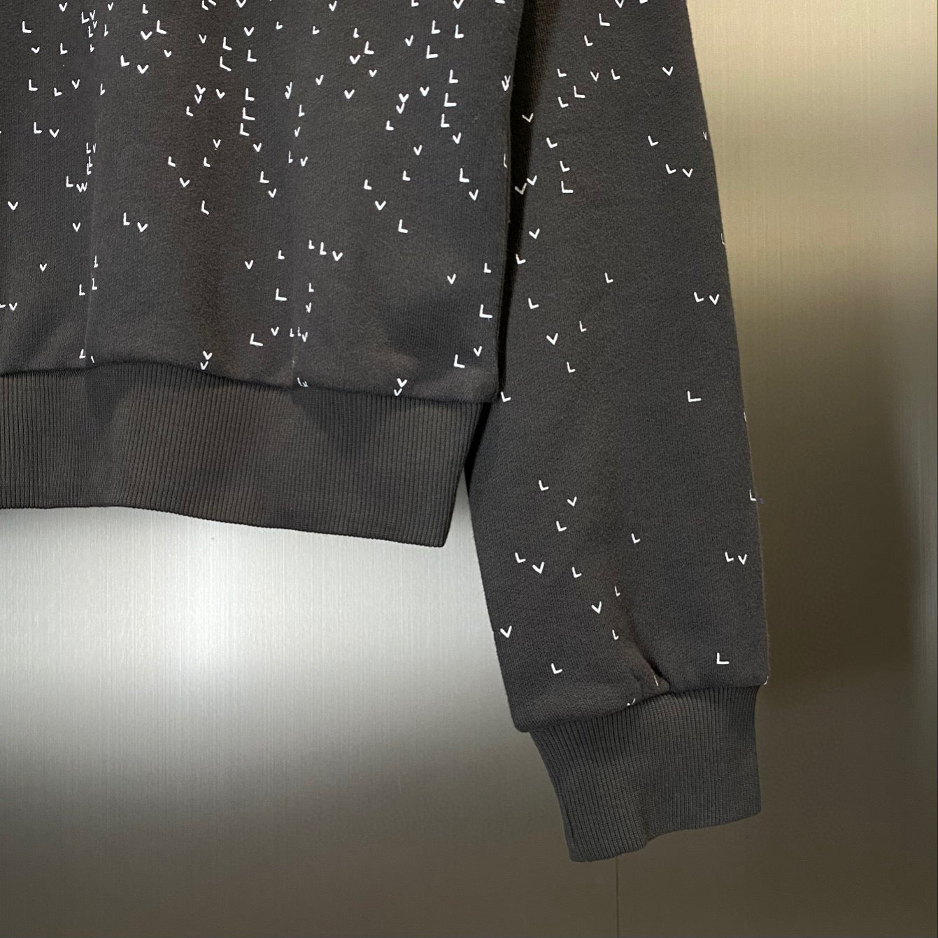 Louis Vuitton Sweatshirt