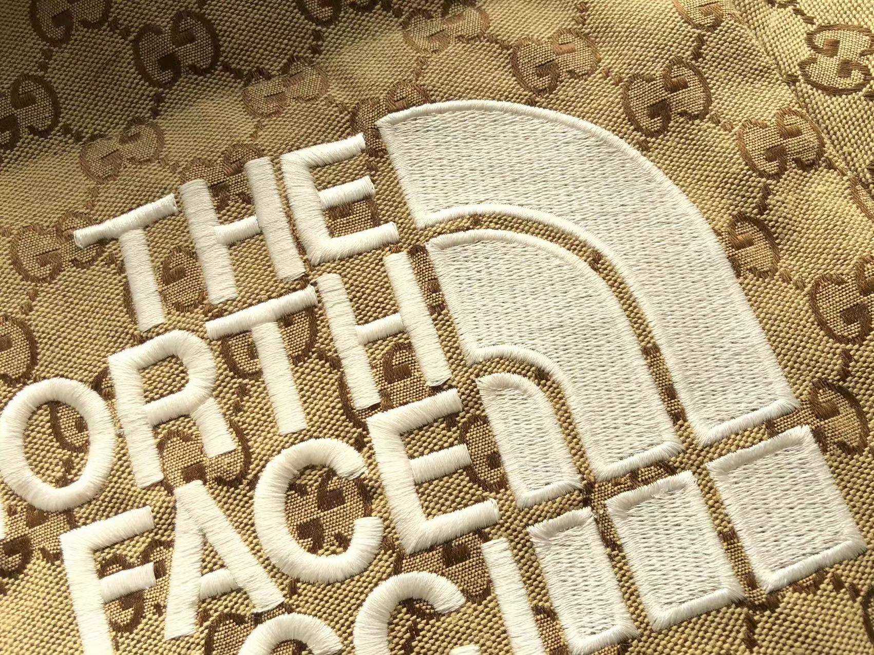 Gucci x The North Face Jacket