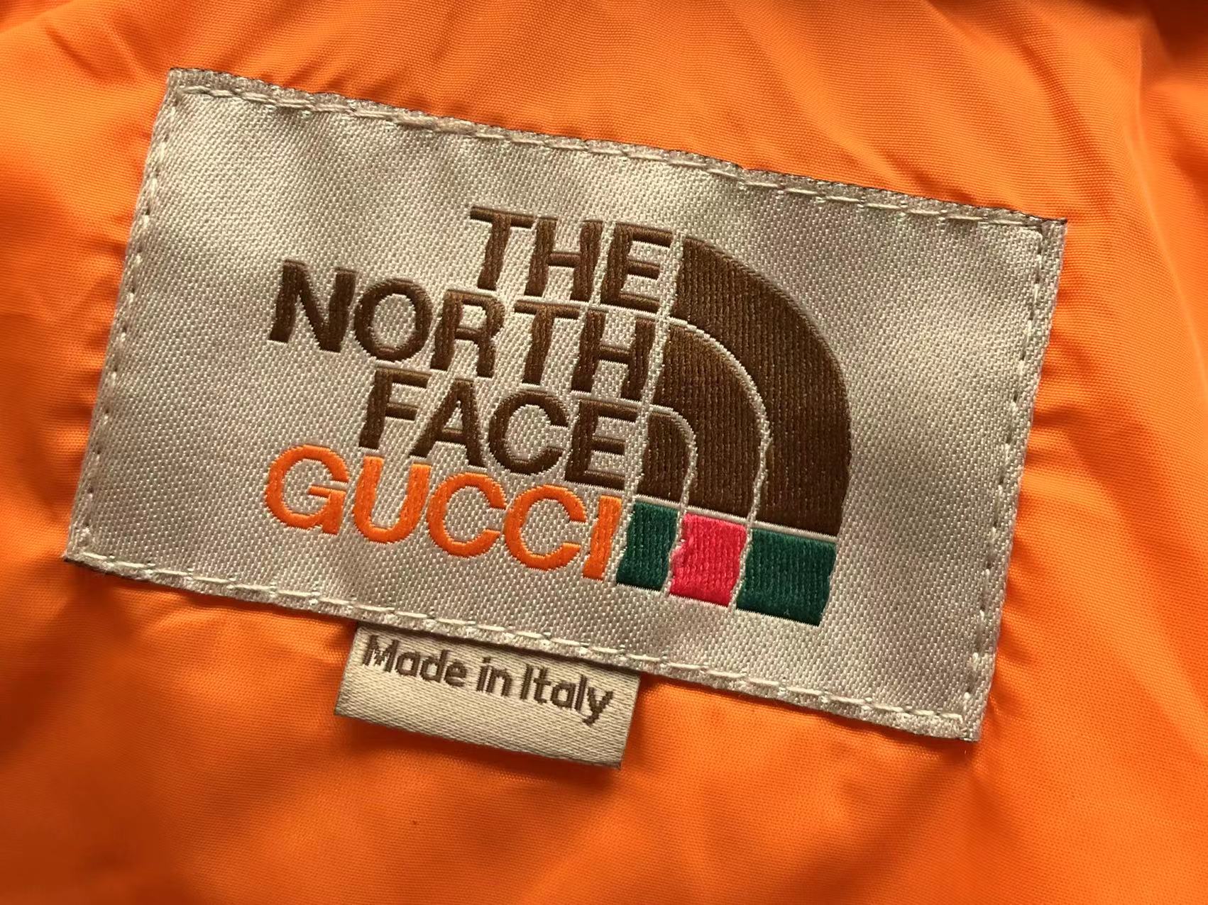 Gucci x The North Face Jacket