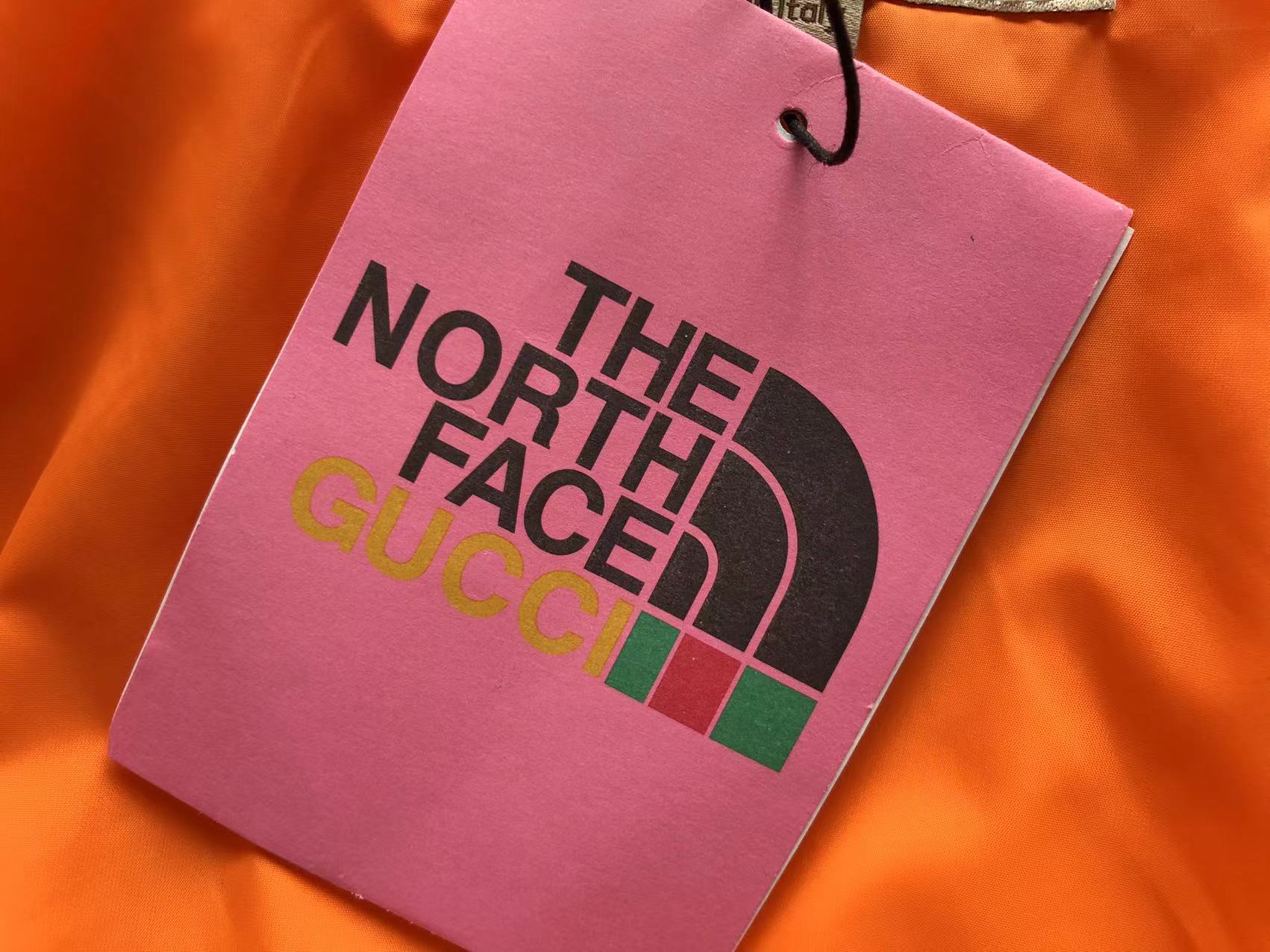Gucci x The North Face Jacket