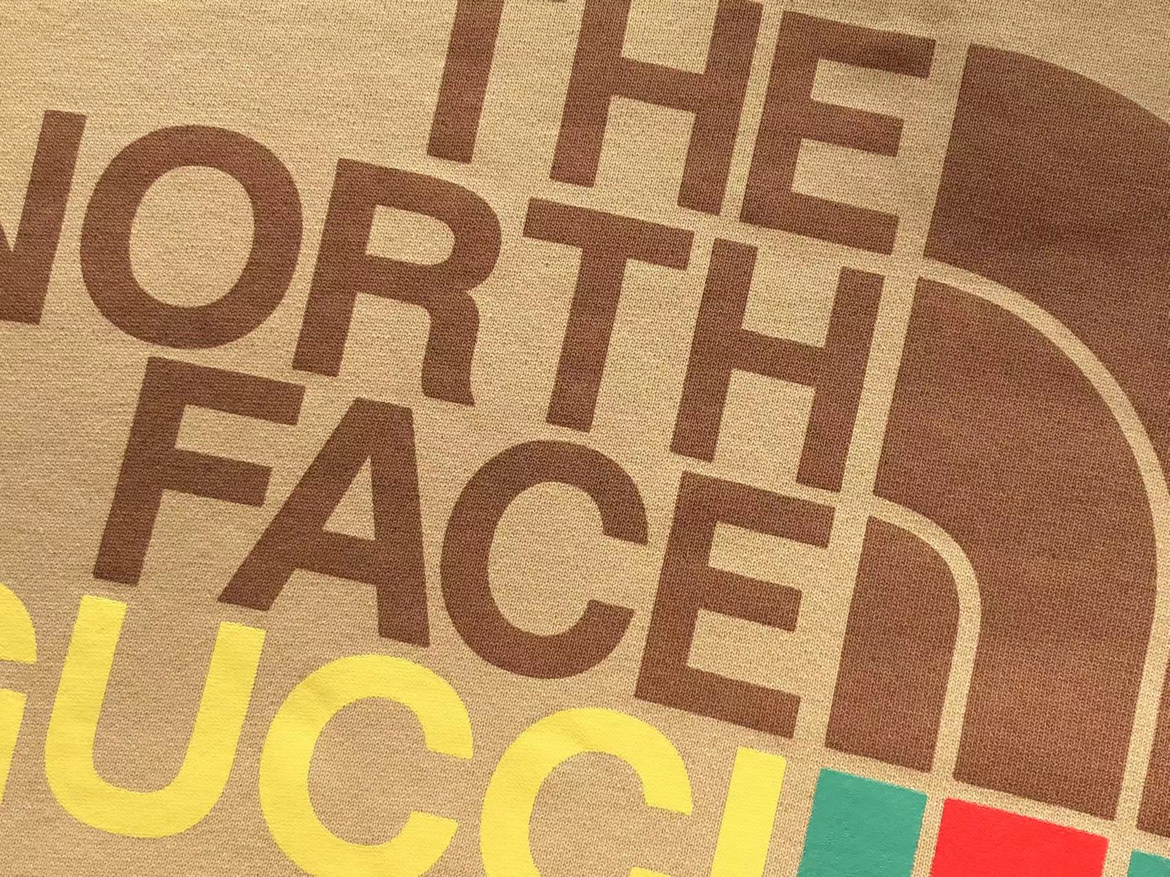 Gucci x The North Face Hoodie