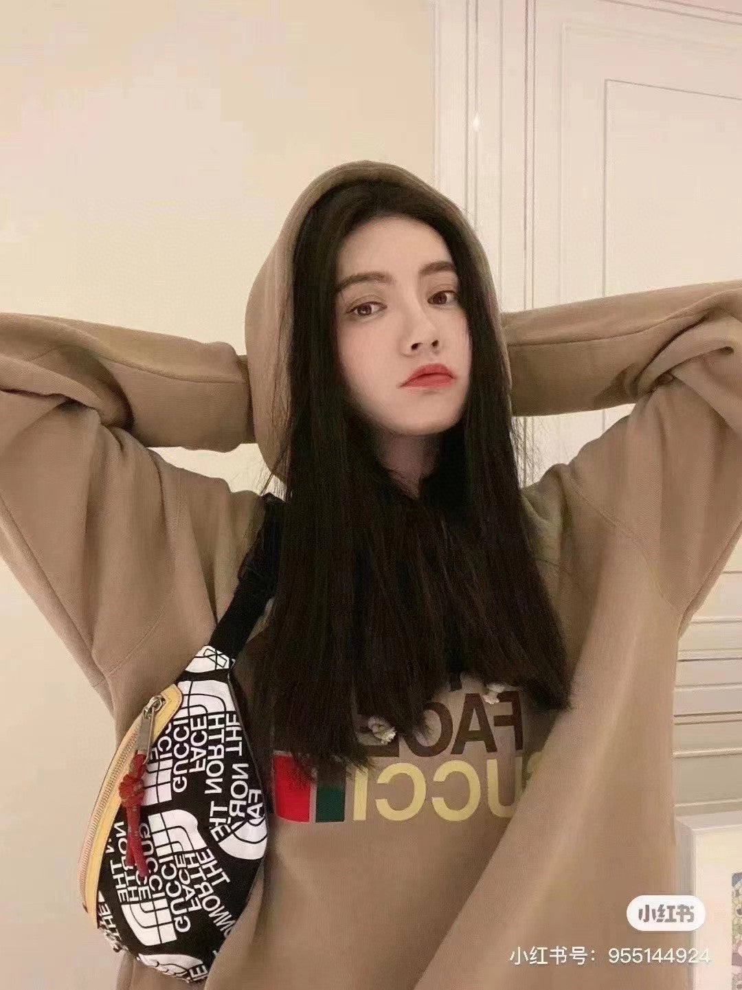 Gucci x The North Face Hoodie