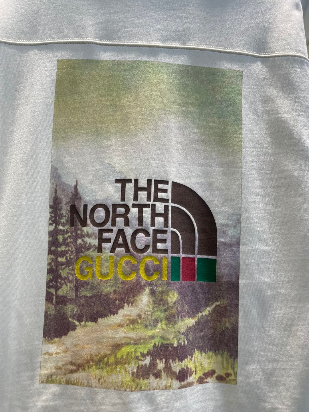 Gucci x The North Face T-shirt