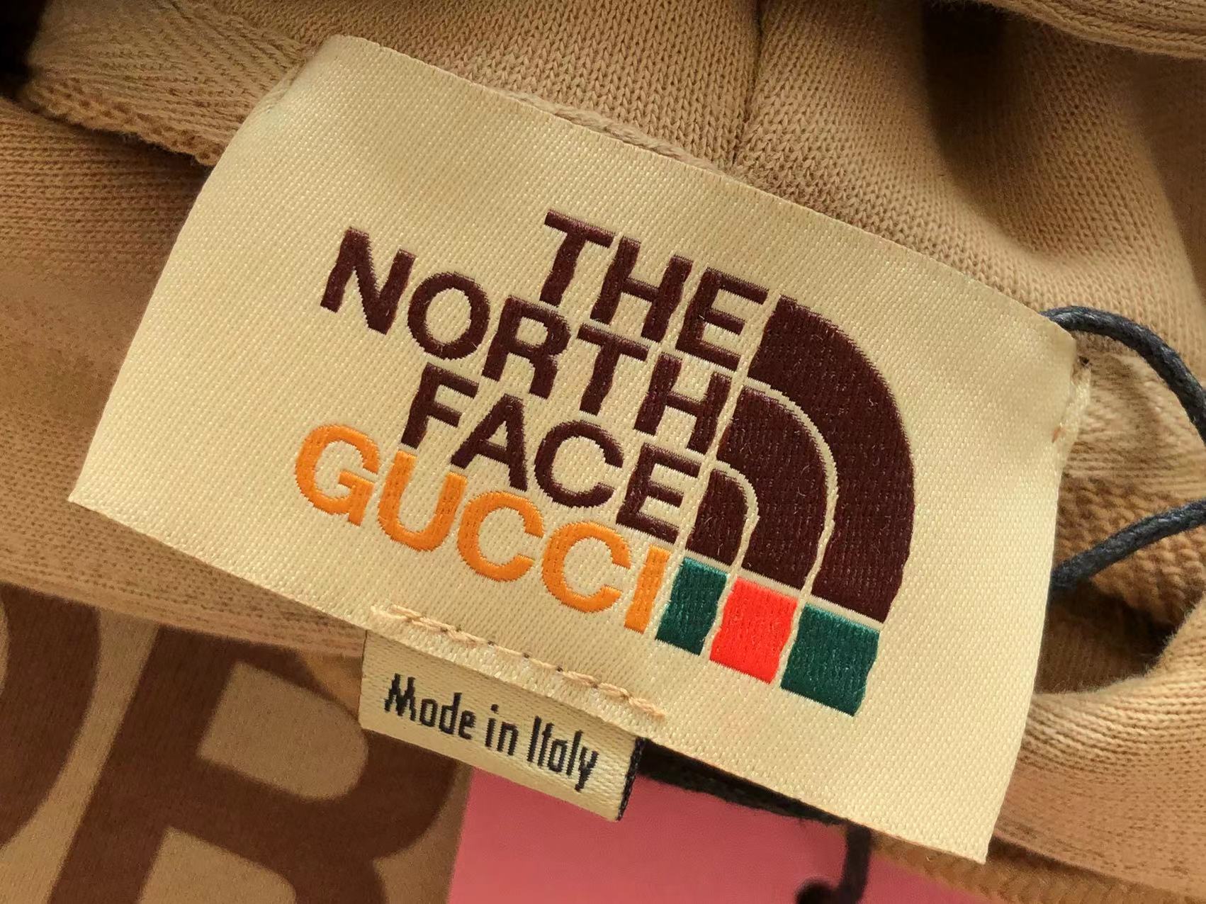 Gucci x The North Face Hoodie
