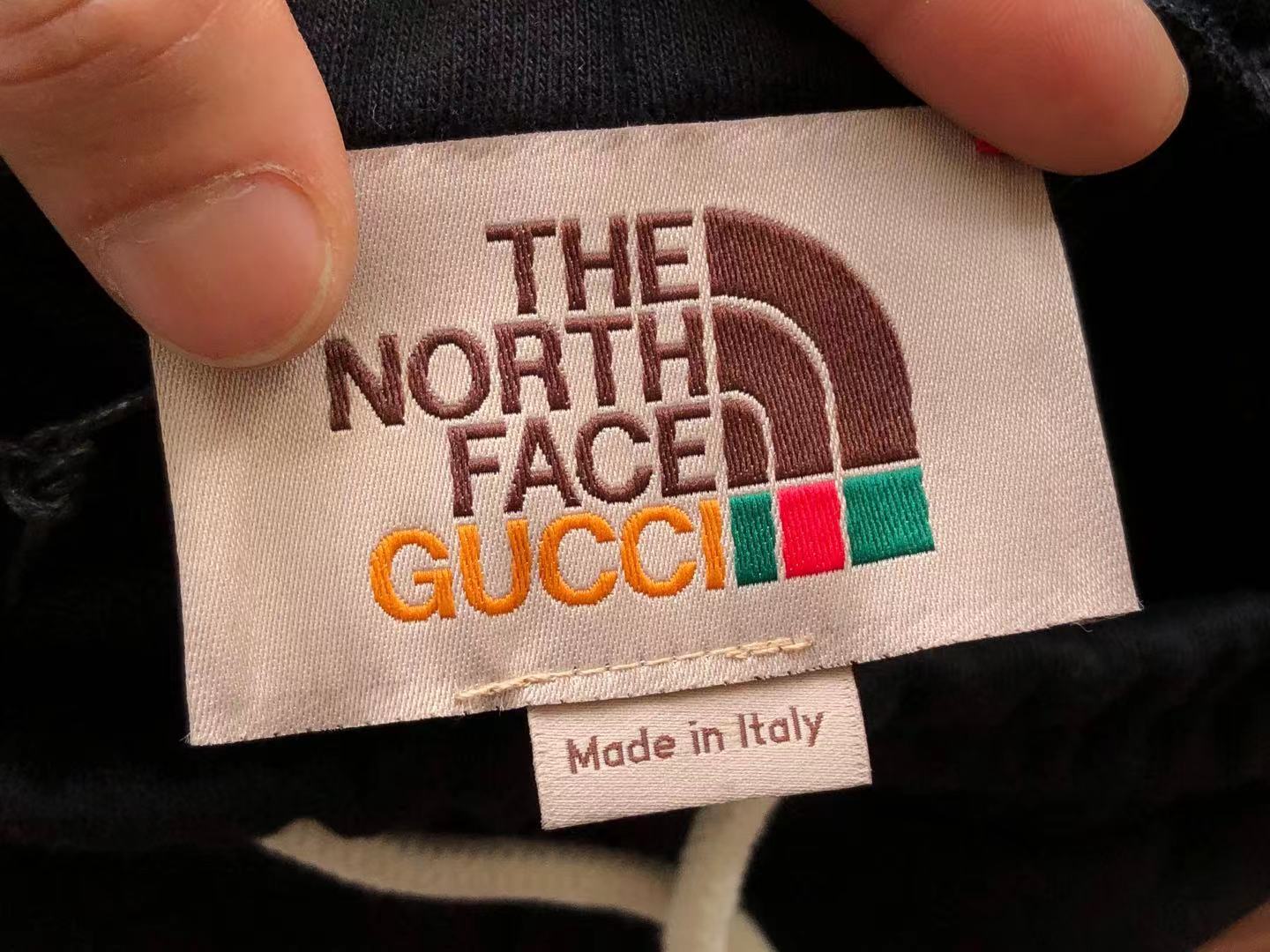 Gucci x The North Face Shorts