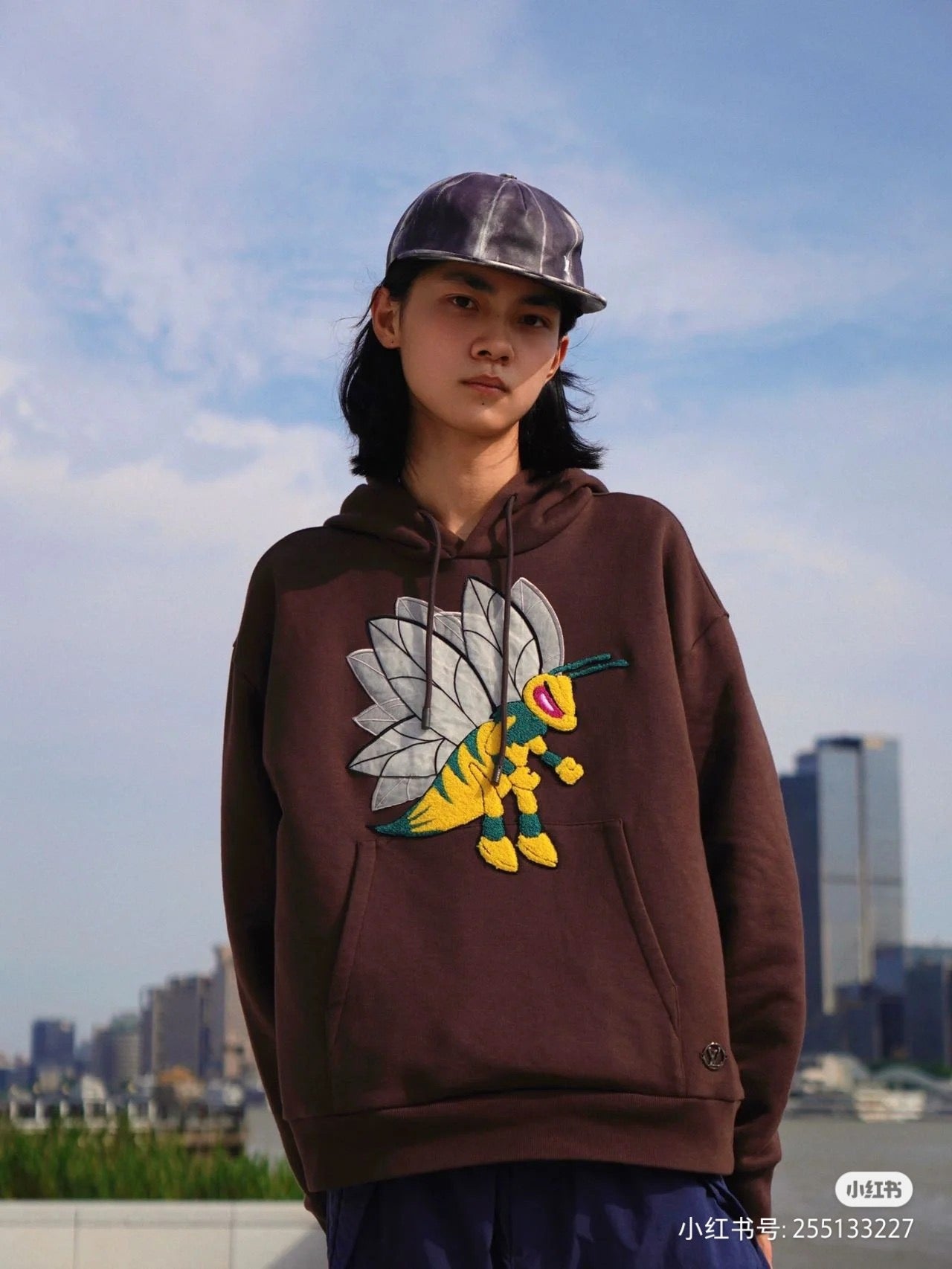 Louis Vuitton Hoodie