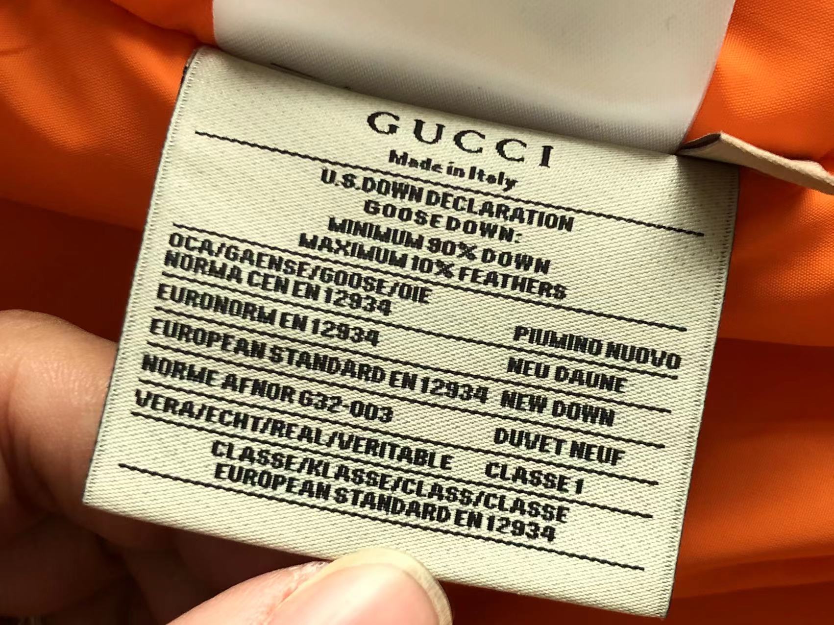 Gucci x The North Face Jacket