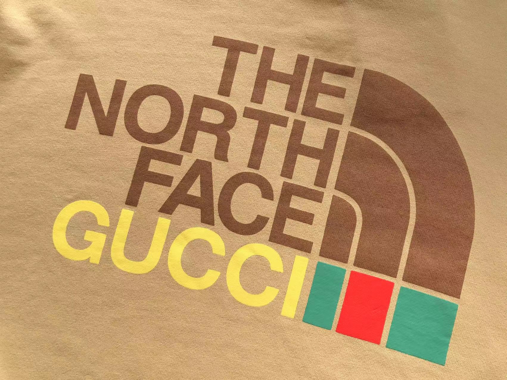 Gucci x The North Face Hoodie