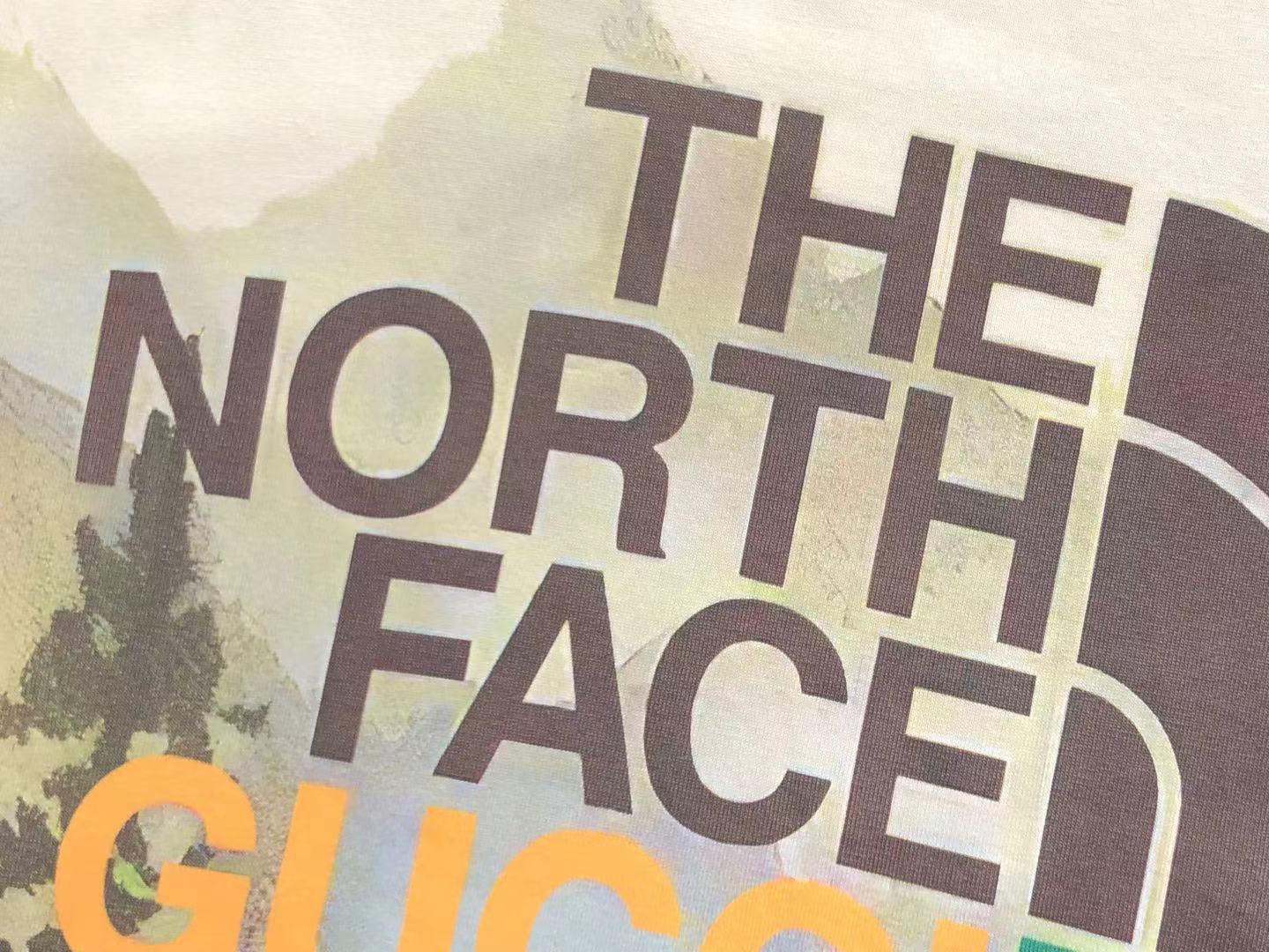 Gucci x The North Face T-shirt