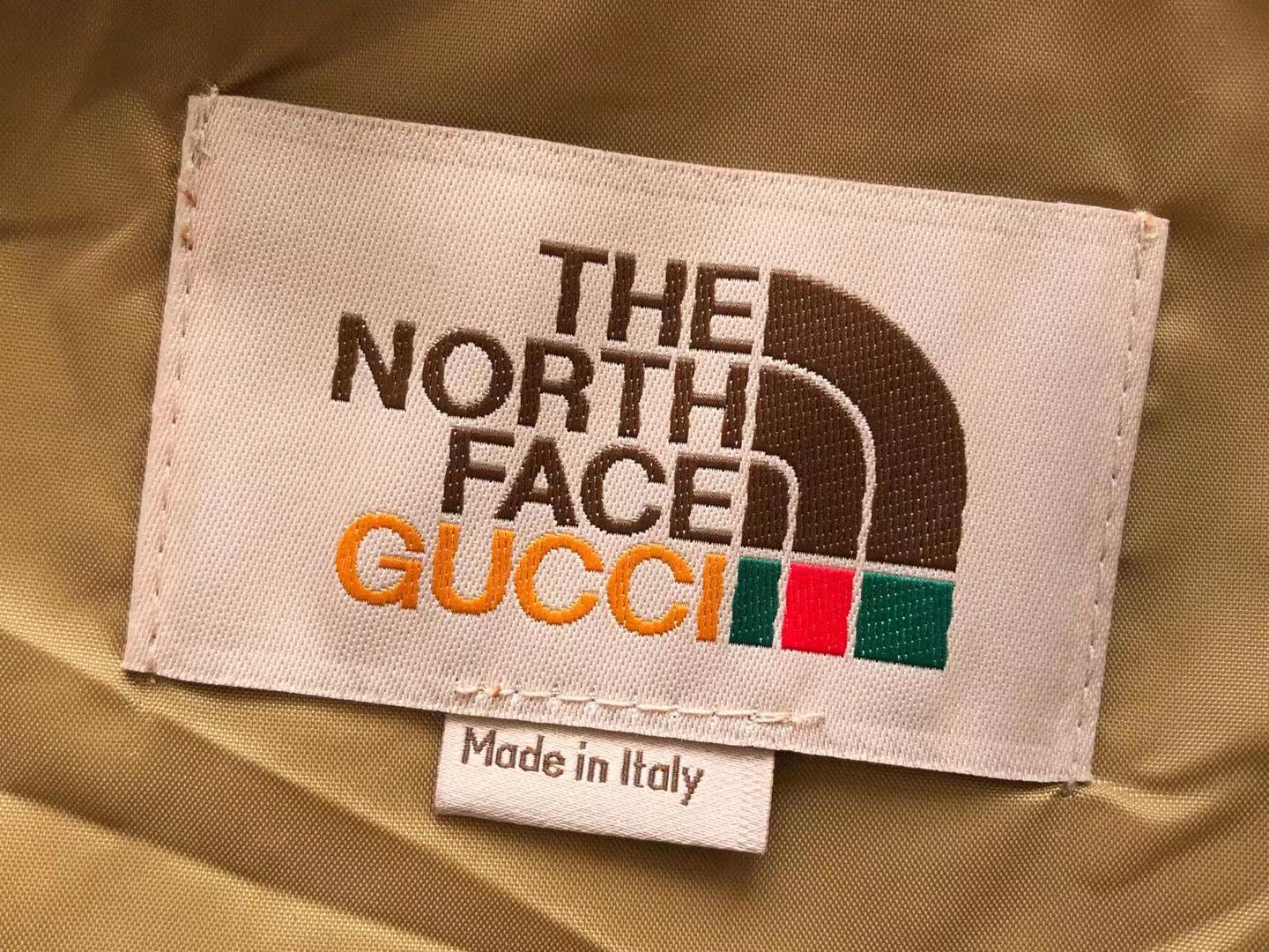 Gucci x The North Face Jacket