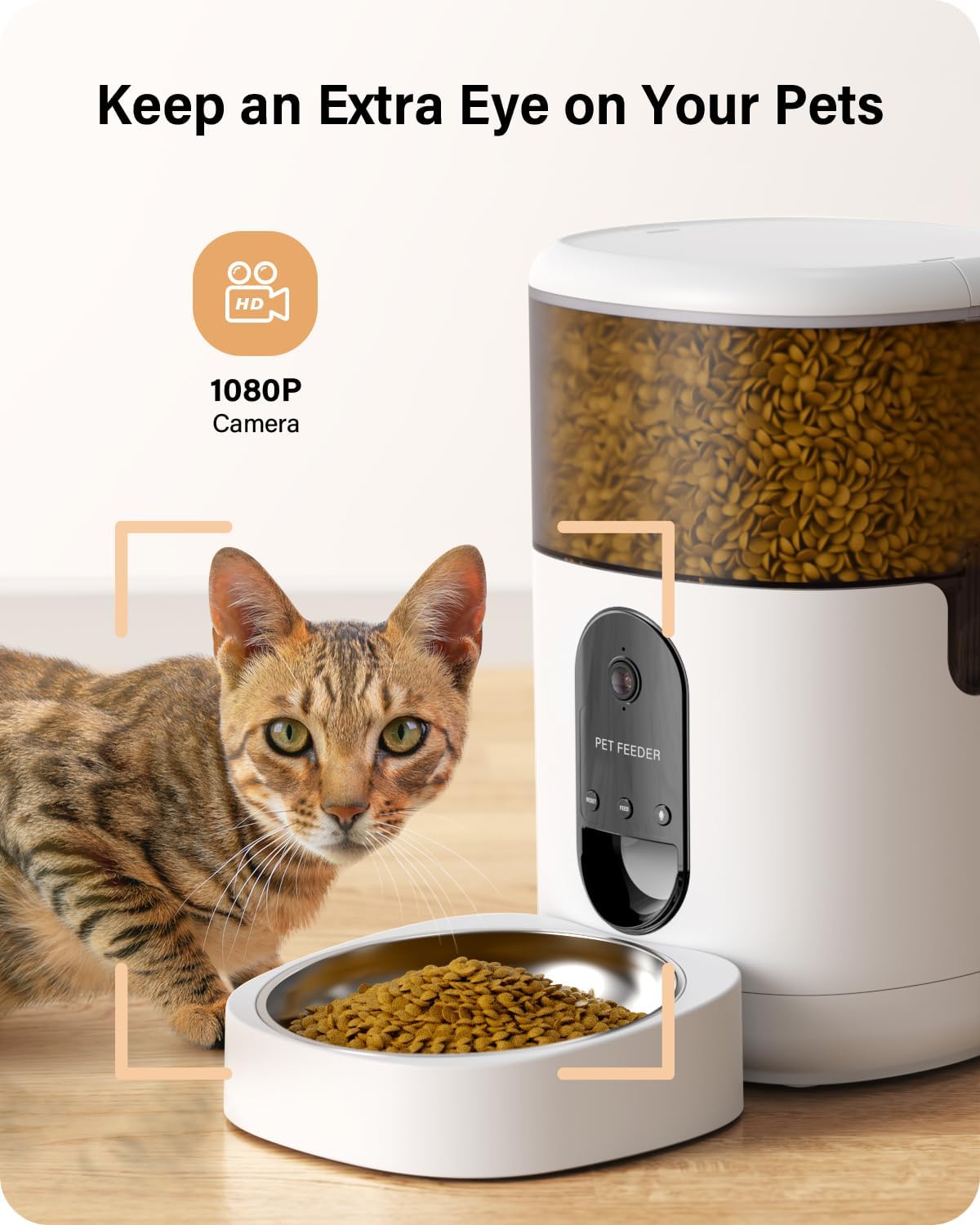 Hicreate Automatic Cat Food Dispenser with Camera