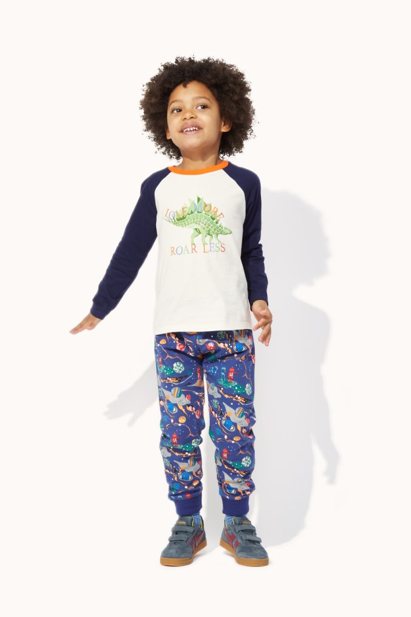 Dinosaur Roar Long Sleeve Raglan T-shirt (1-10 Years)