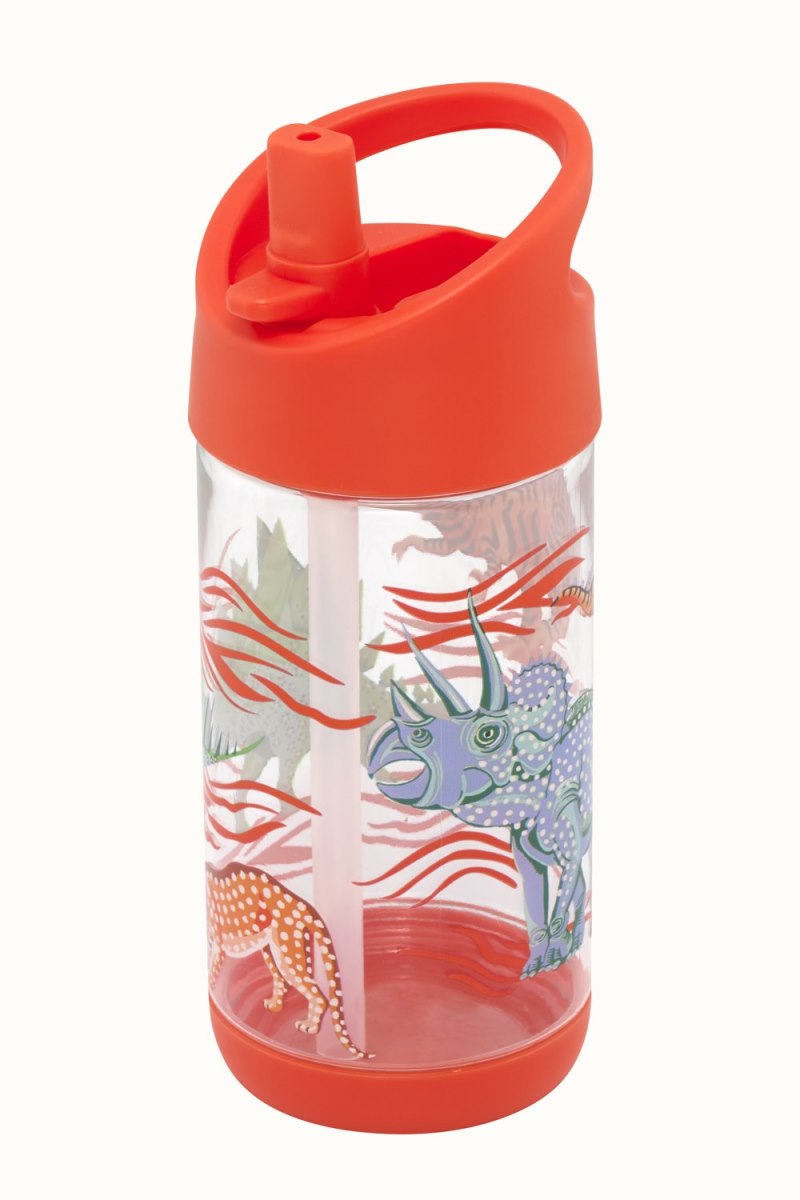 Dinosaur Kids Drinking Bottle