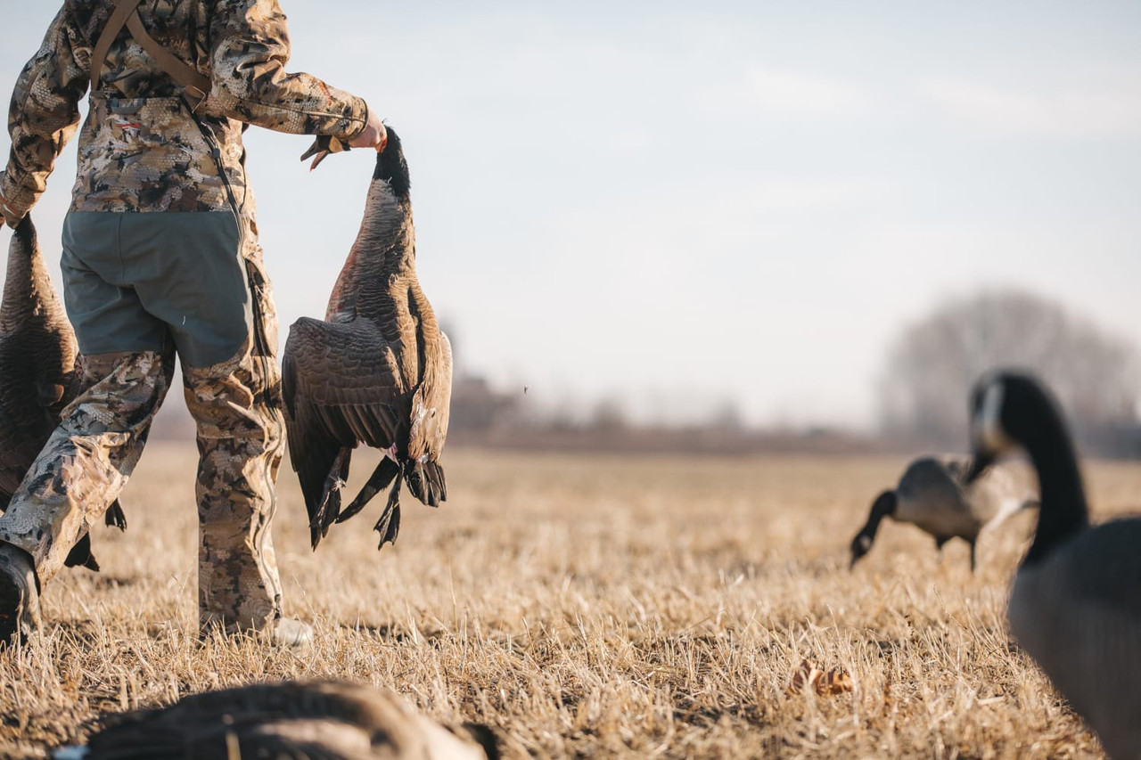 Women's Hudson Jacket