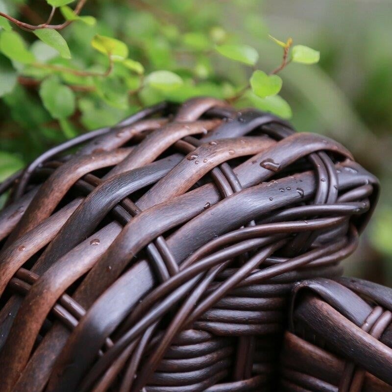 Gwenael Wicker/Rattan 5 - Person Seating Group with Cushions