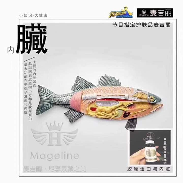 Mageline Collagen Beauty Drink