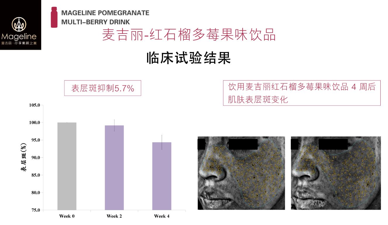 Mageline Pomegranate Multi-Berry Drink