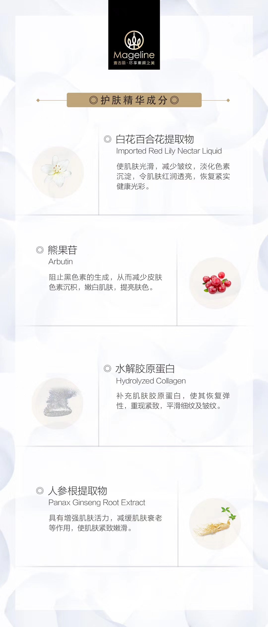 Mageline The Youth Essence Intense Concentrate (Combination & Oily Skin)