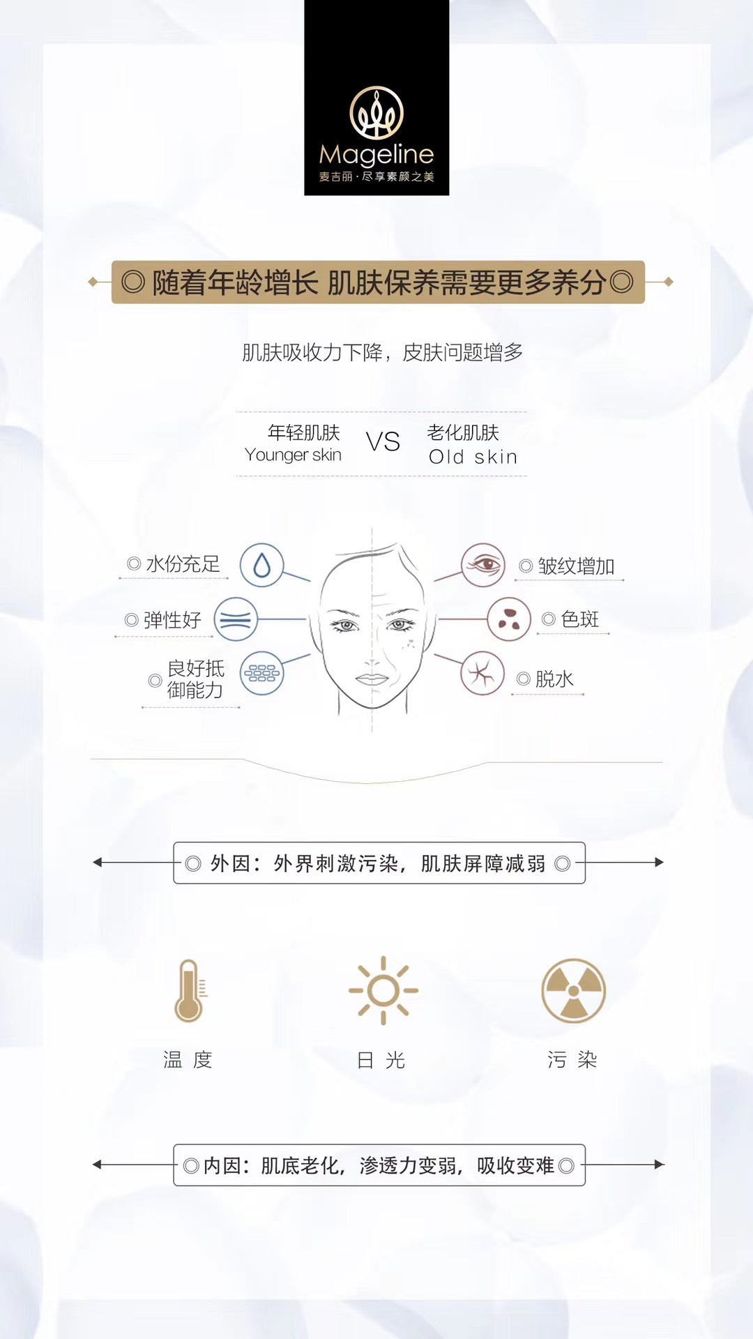 Mageline The Youth Essence Intense Concentrate (Combination & Oily Skin)