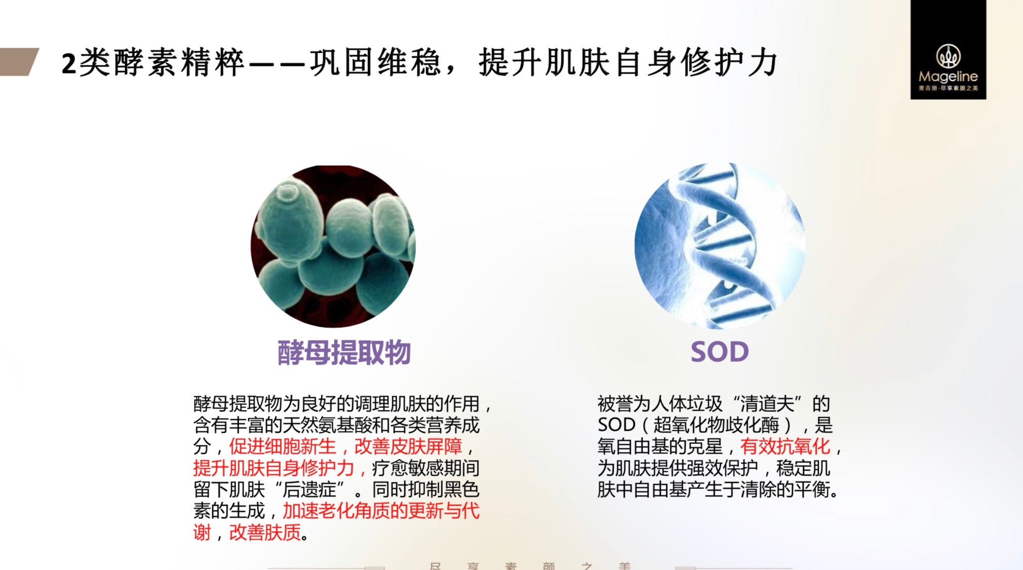 Mageline Skin Repair Gel