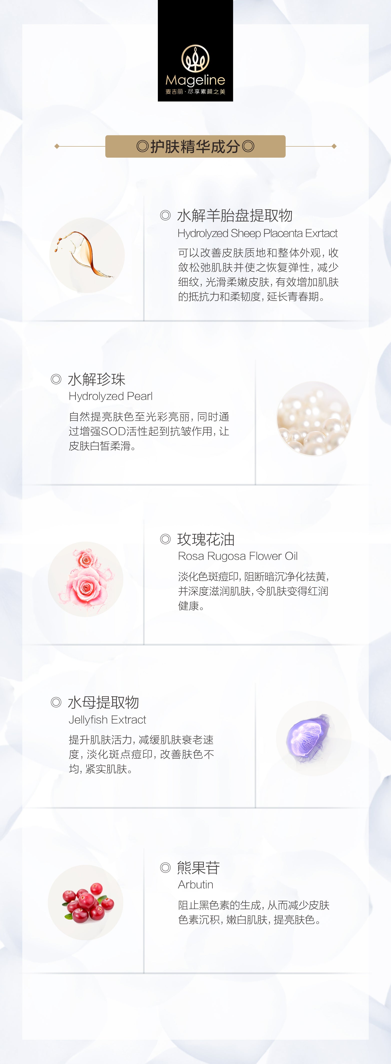 Mageline Noble Lady Cream