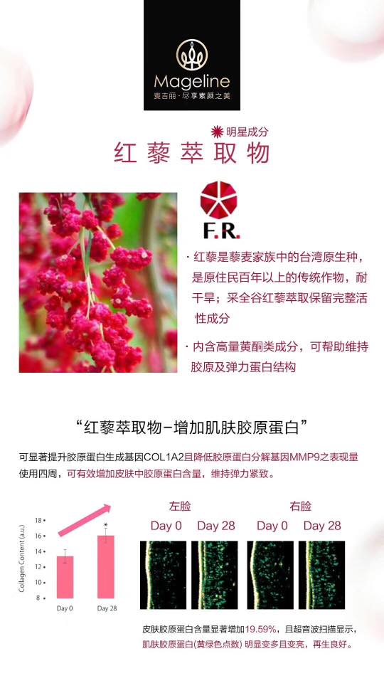 Mageline Collagen Beauty Drink