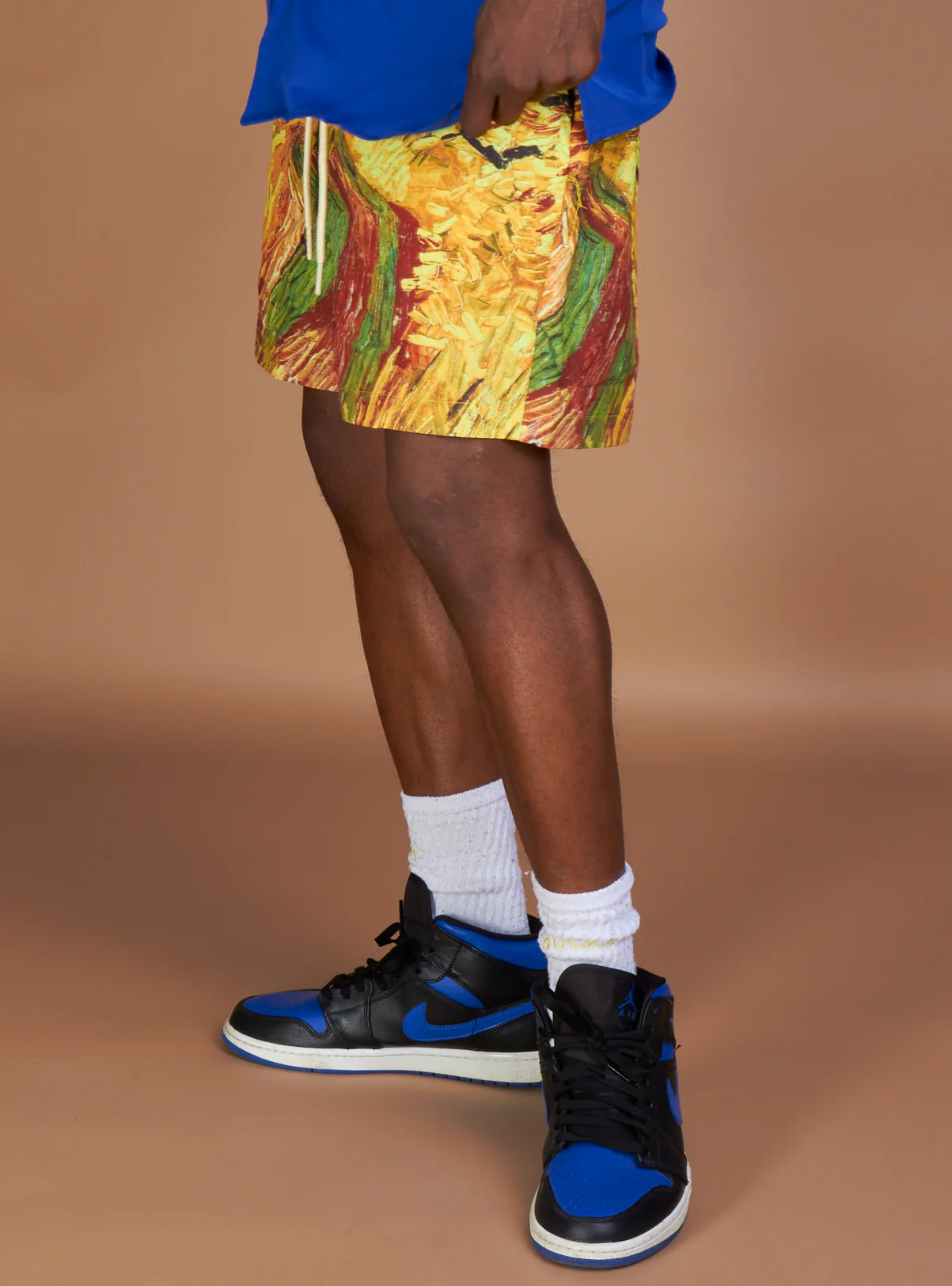 Rebel Minds Shorts - Prosper Board  - Multi - 141-951