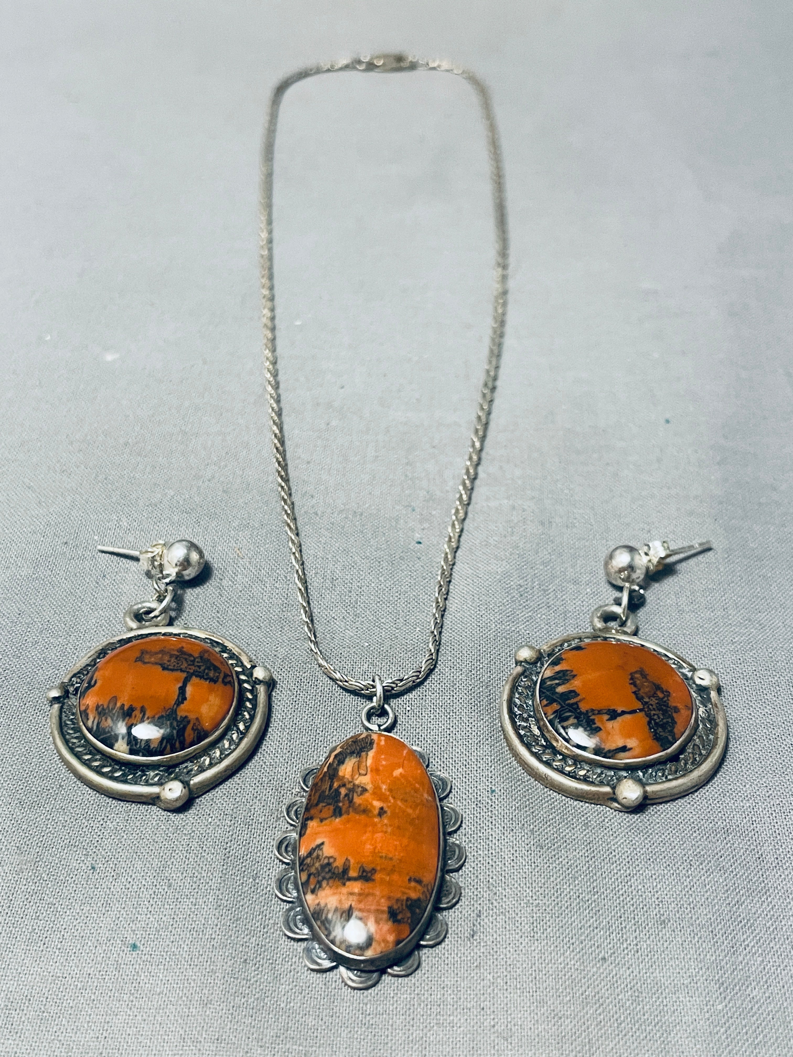 Tremendous Vintage Native American Navajo Petrified Wood Sterling Silver Necklace & Earring Set