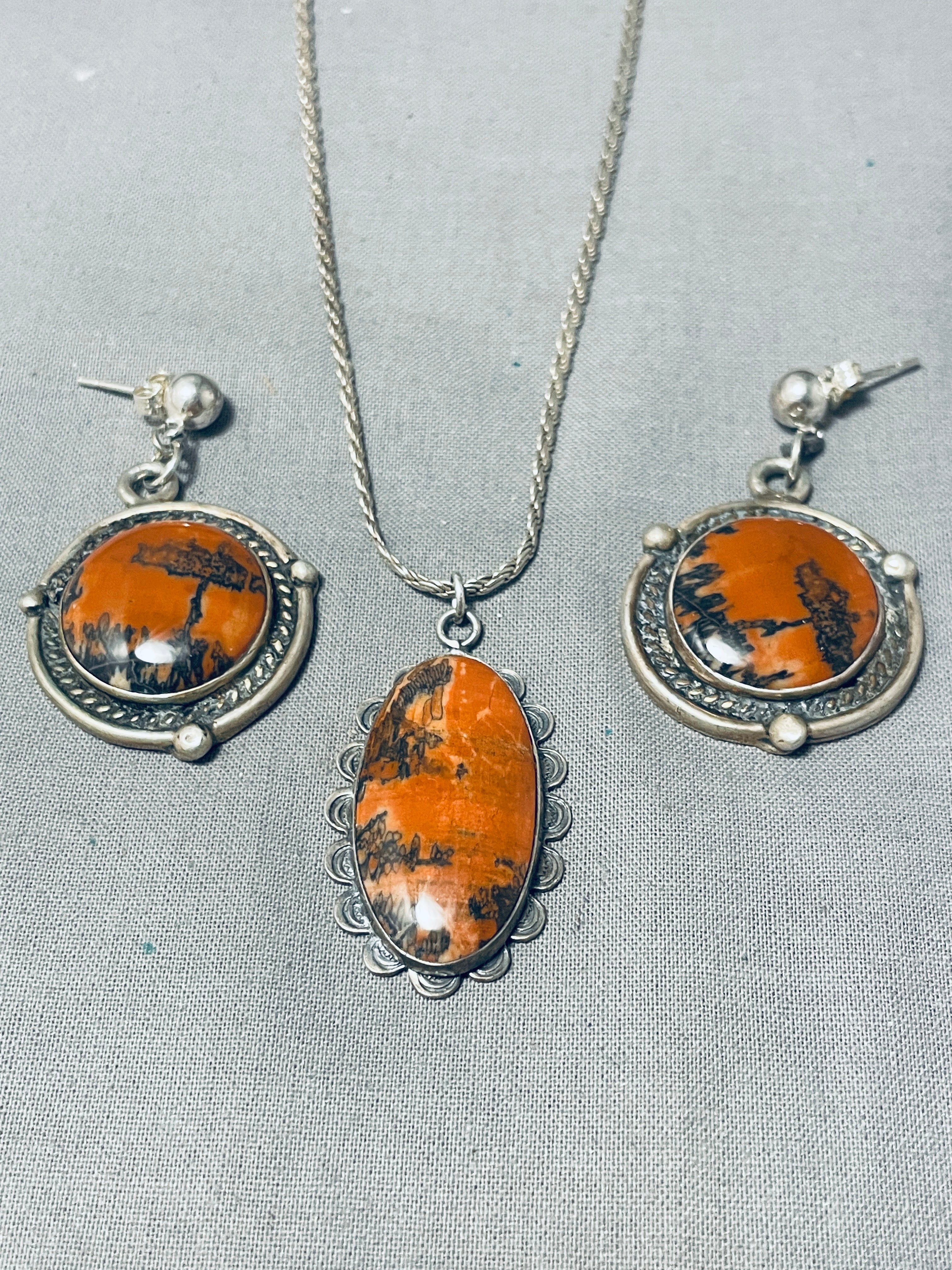 Tremendous Vintage Native American Navajo Petrified Wood Sterling Silver Necklace & Earring Set