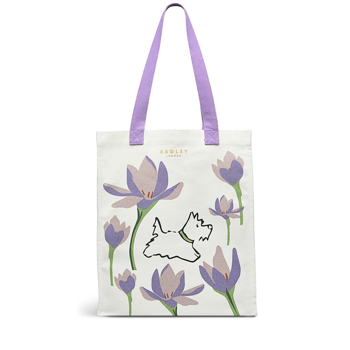 Spring Bulbs