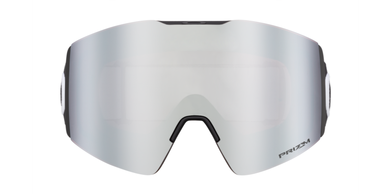 Fall Line L Snow Goggles