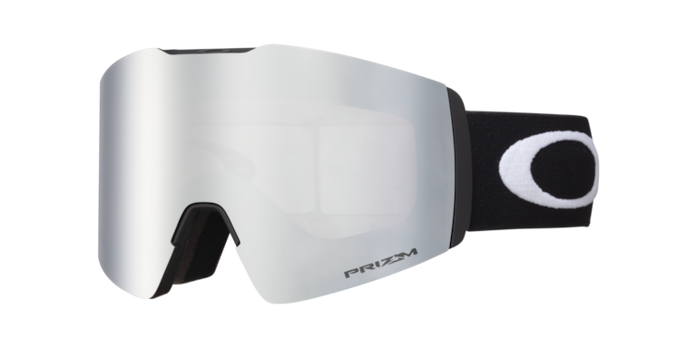 Fall Line L Snow Goggles