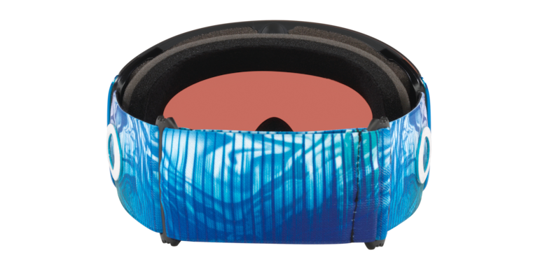 Flight Deck™ L Mikaela Shiffrin Signature Series Snow Goggles