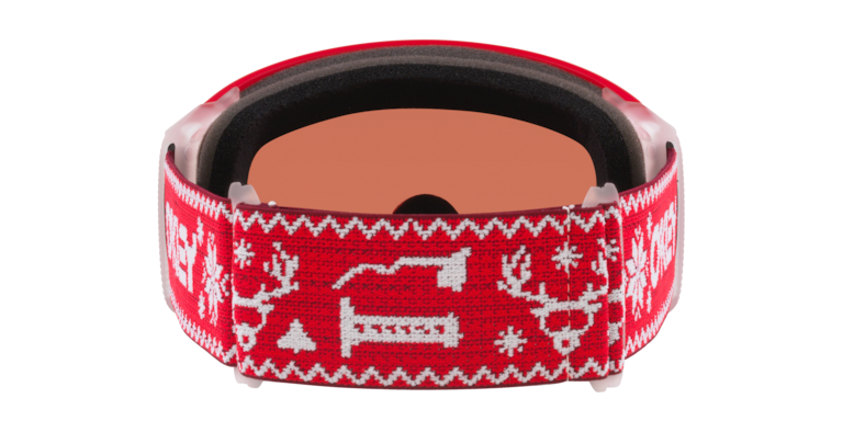 Flight Tracker L Snow Goggles - Holiday Limited Edition
