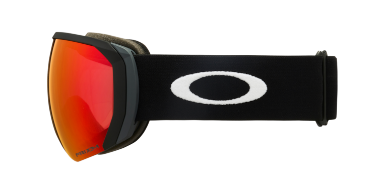 Flight Path L Snow Goggles