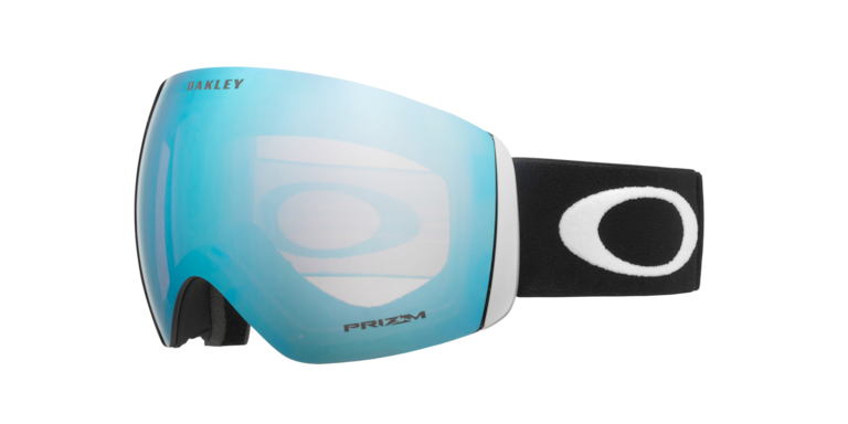 Flight Deck™ L Snow Goggles