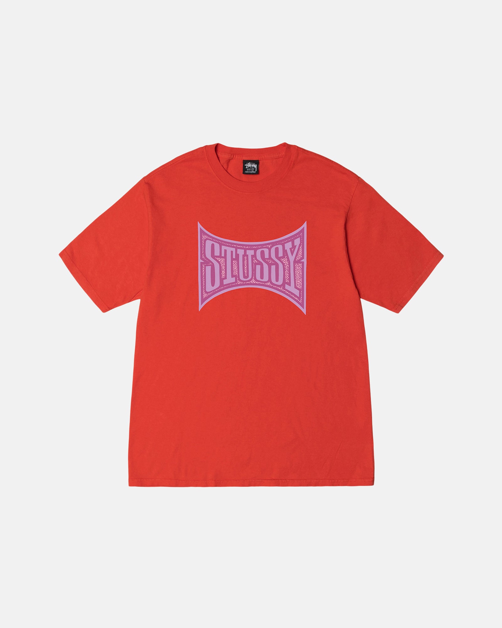 CHAMPION PIGMENT DYED TEE
