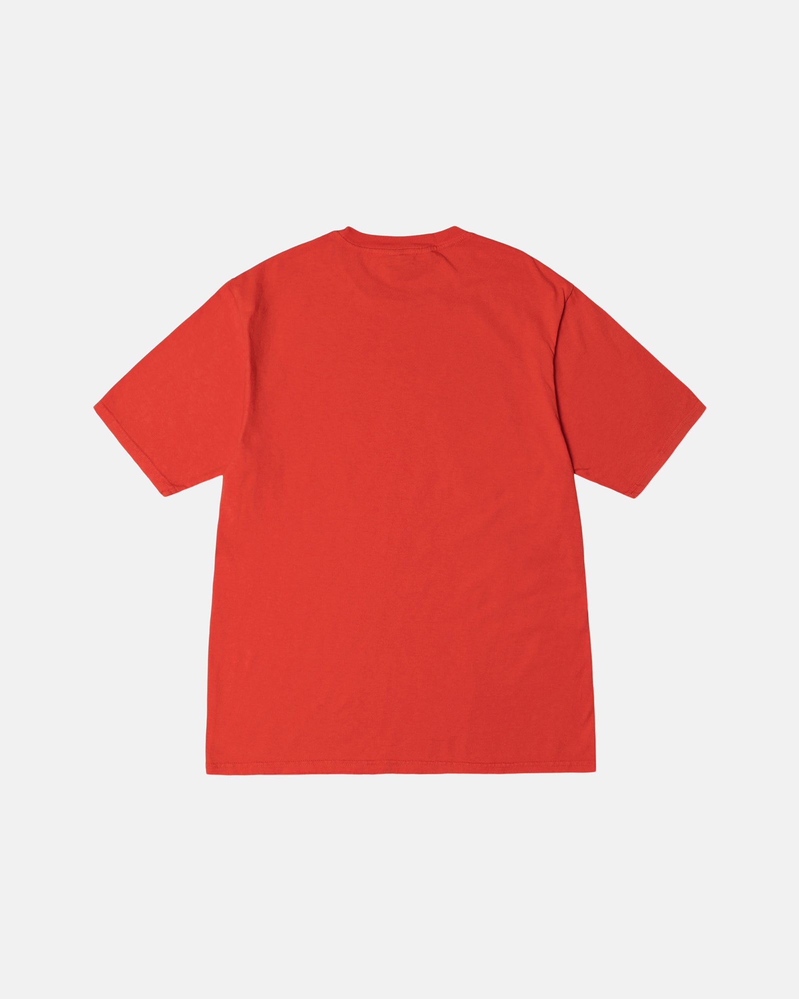 CHAMPION PIGMENT DYED TEE