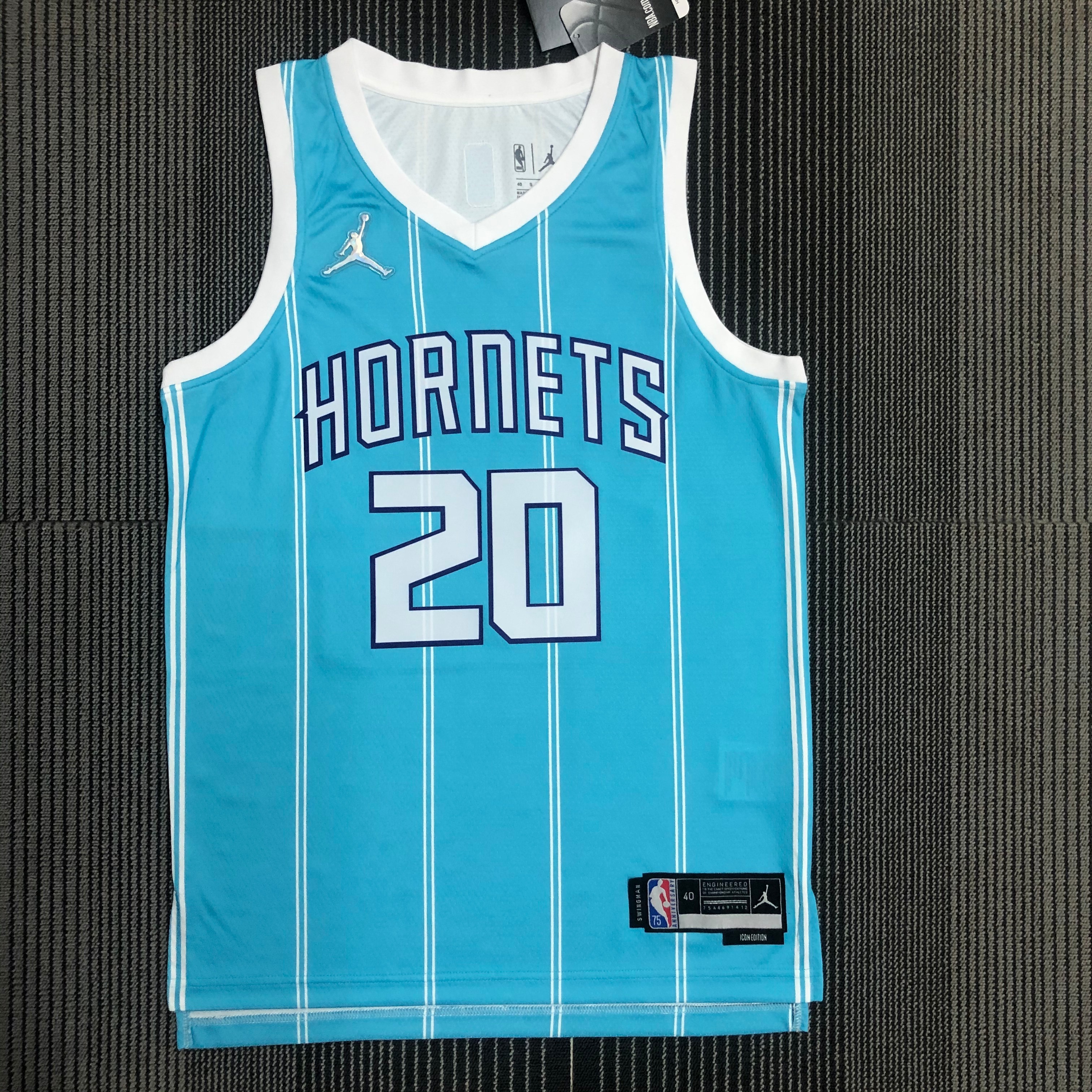 CHARLOTTE HORNETS