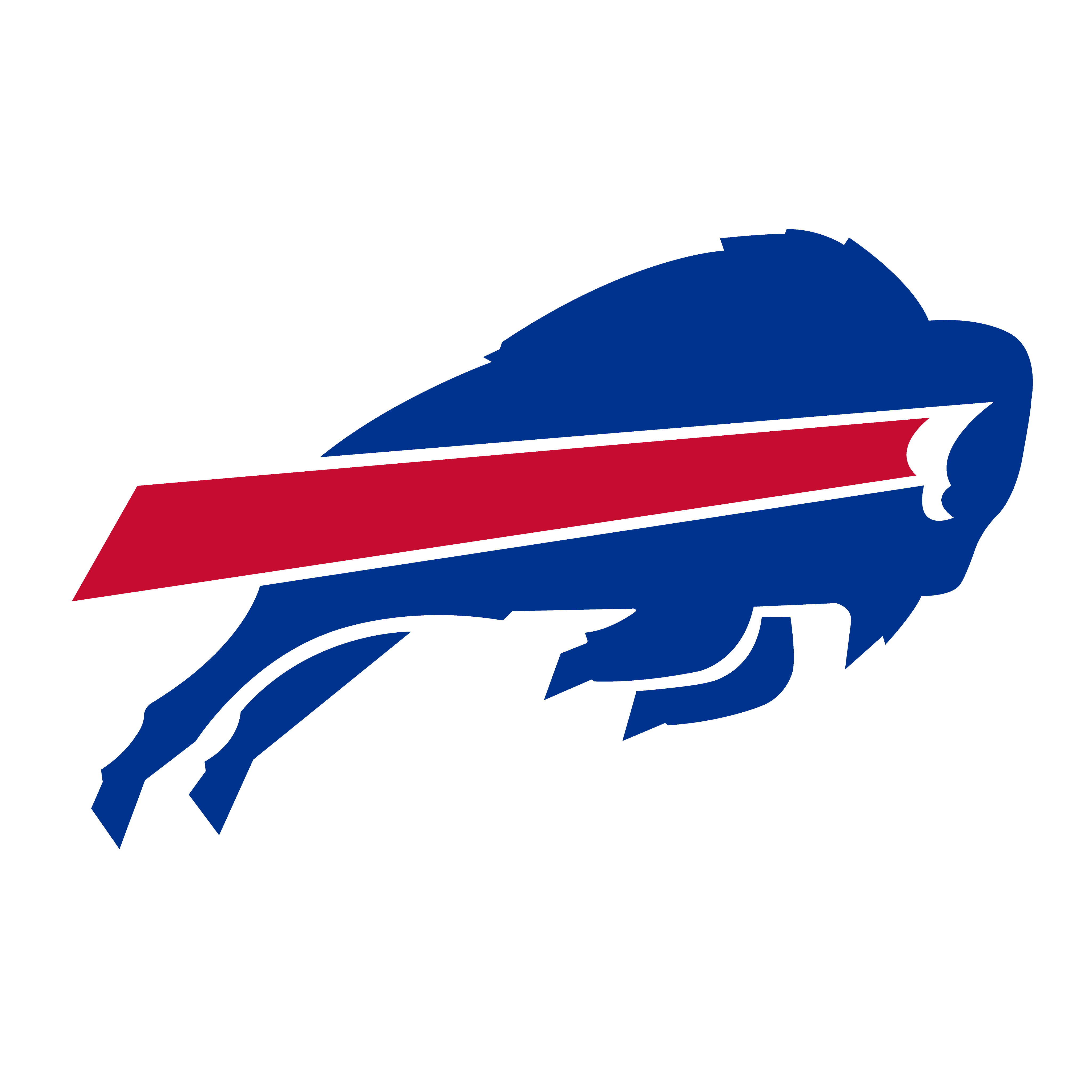 Buffalo Bills