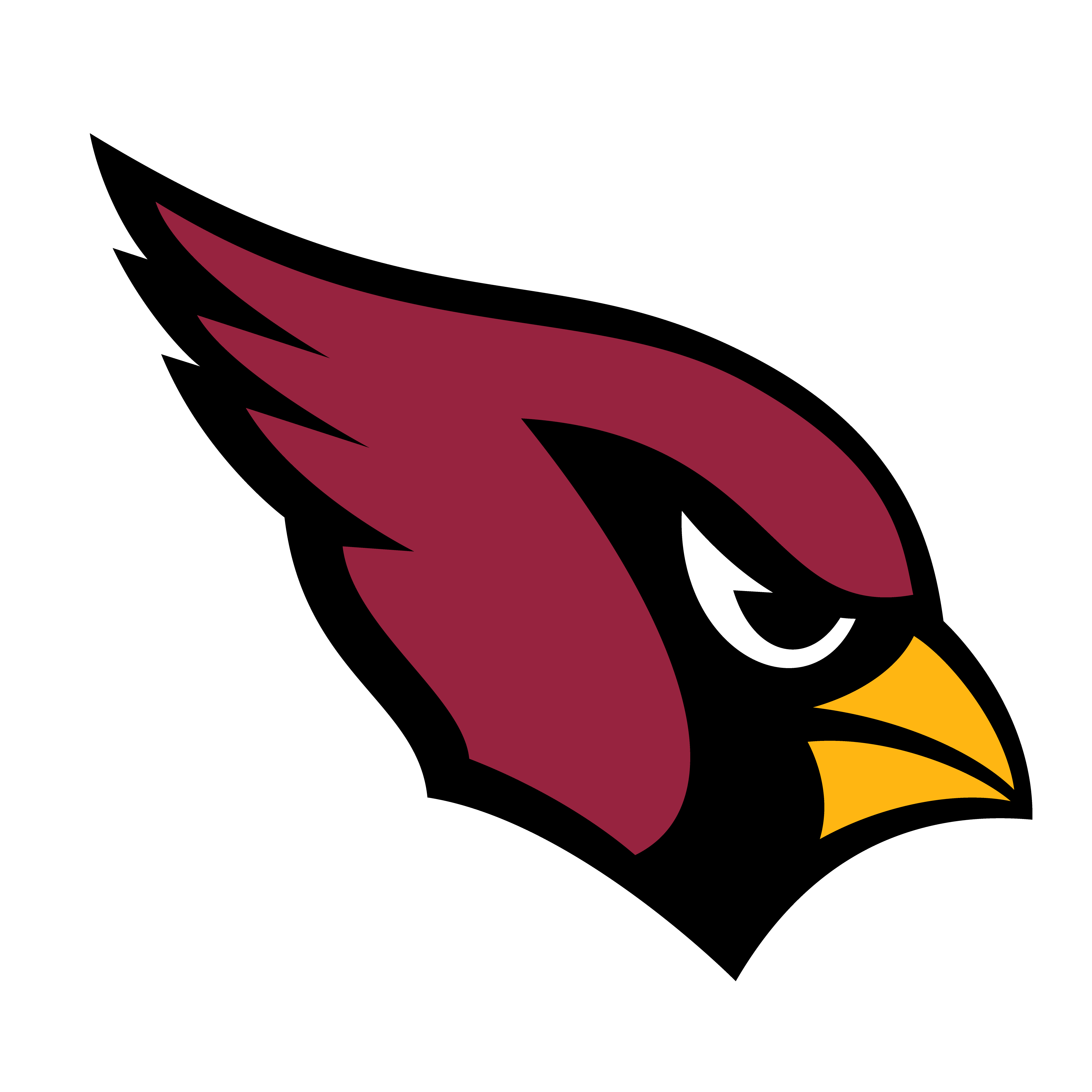 Arizona Cardinals
