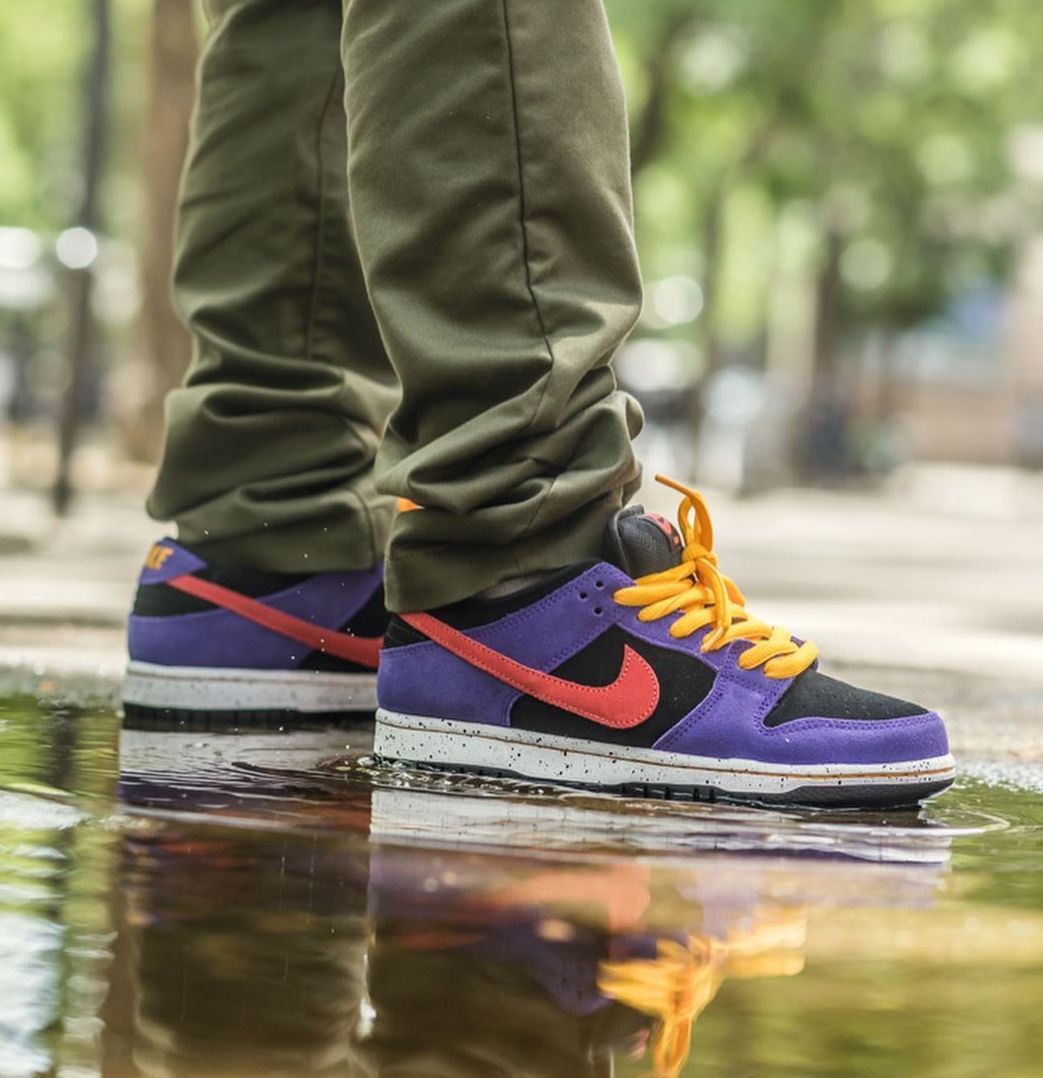 Nike SB Dunk Low ACG Terra