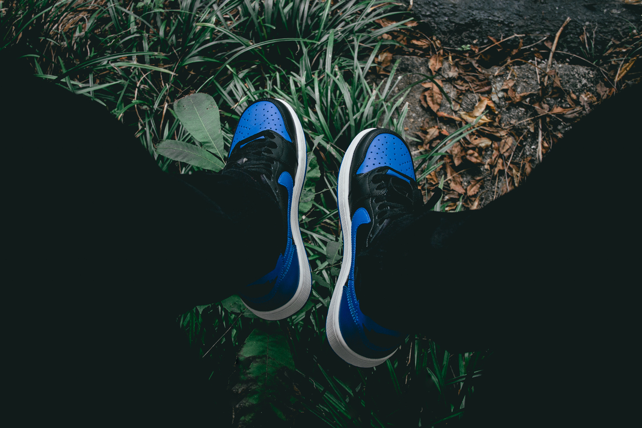 Jordan 1 Retro Low Royal (2015)