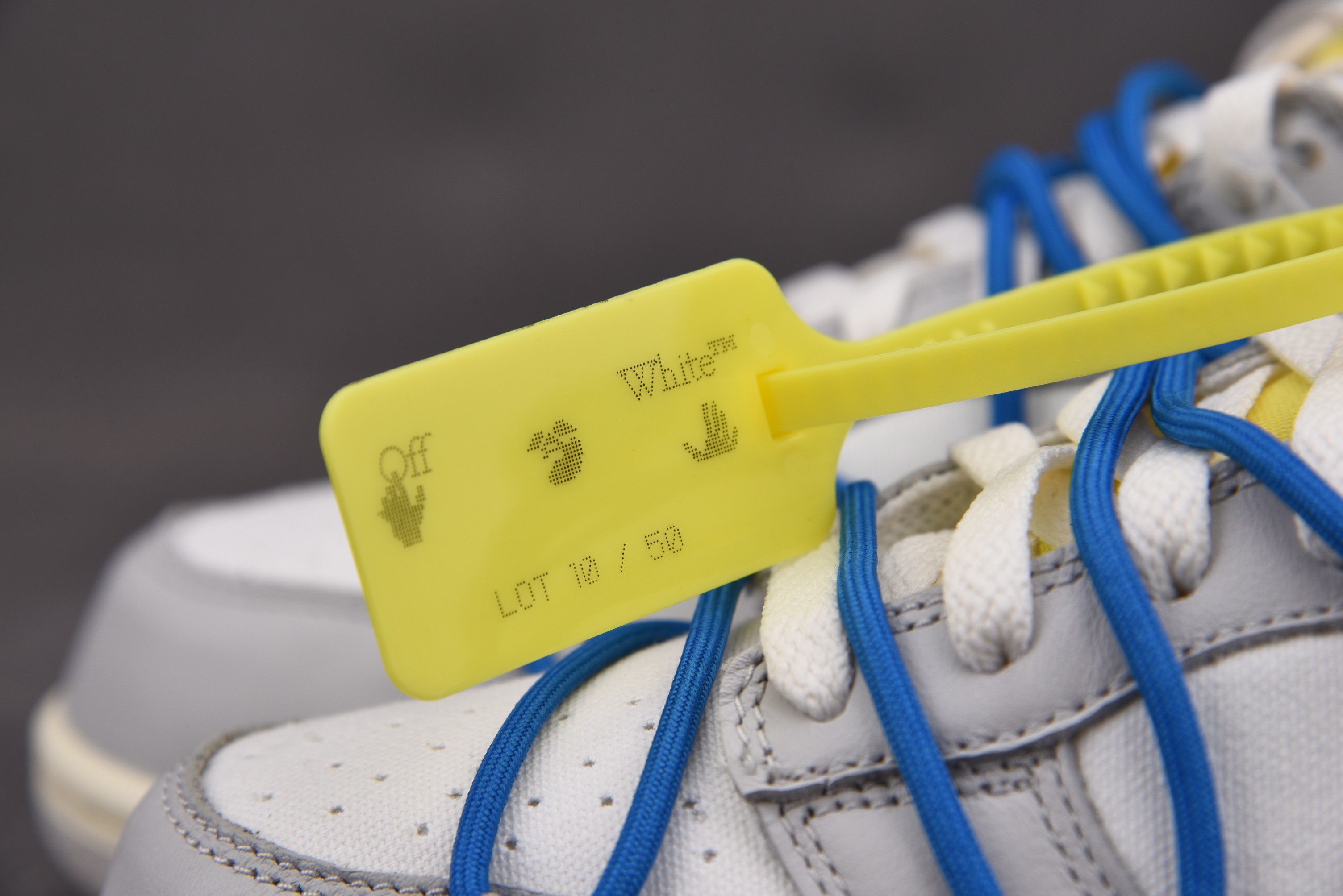 Nike Dunk Low   Lot 10