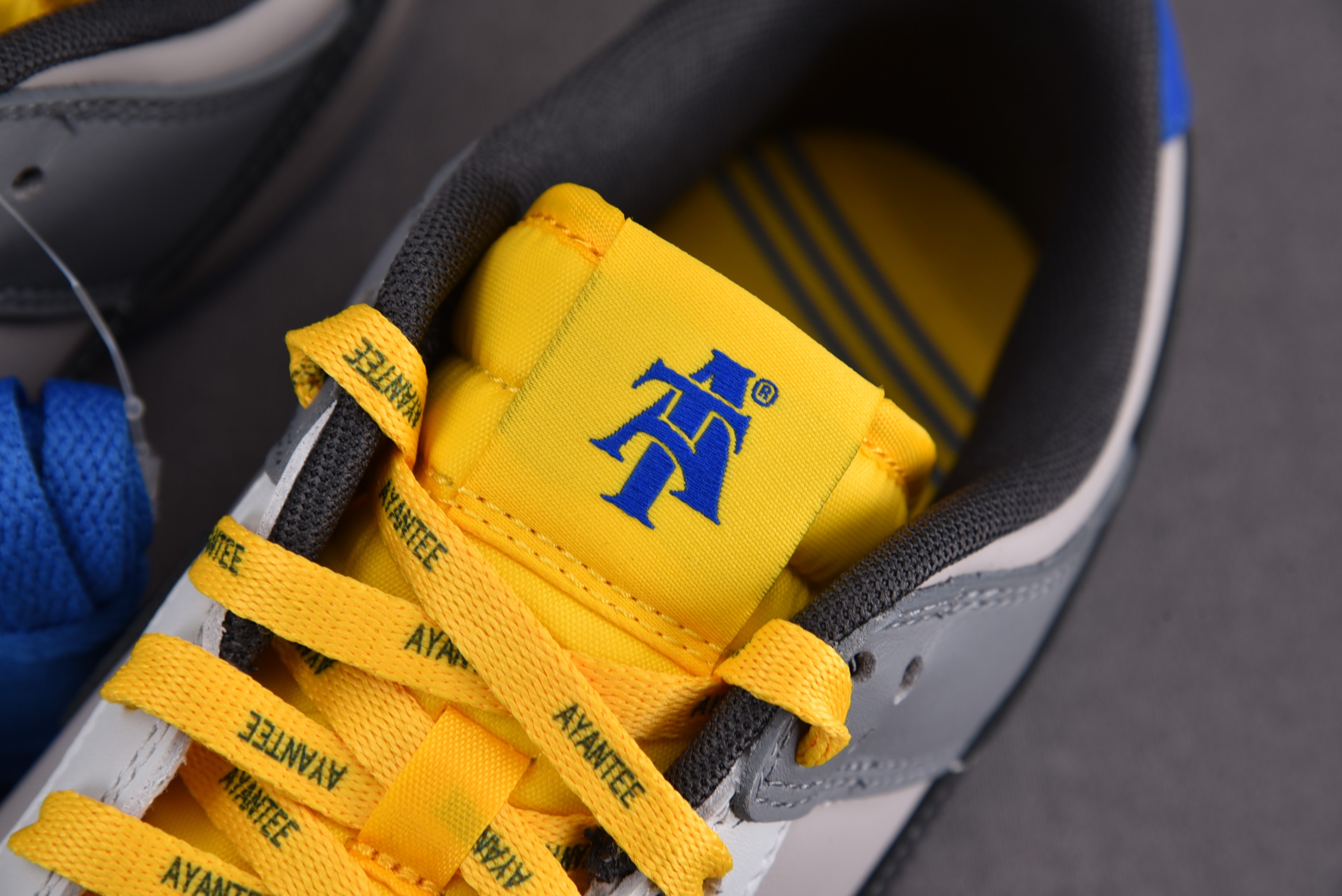 Nike Dunk Low North Carolina A&T