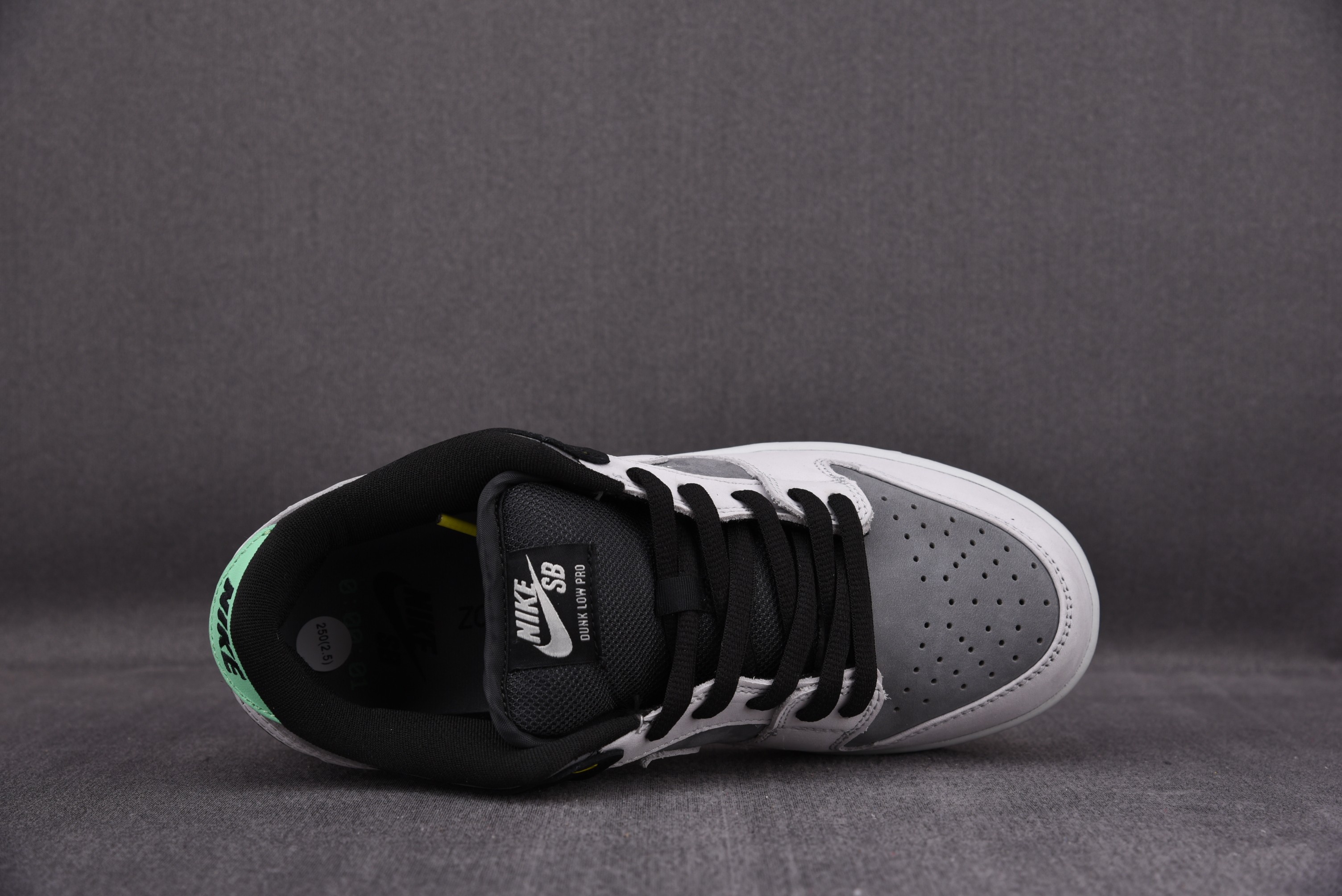 Nike SB Dunk Low Camcorder VX1000